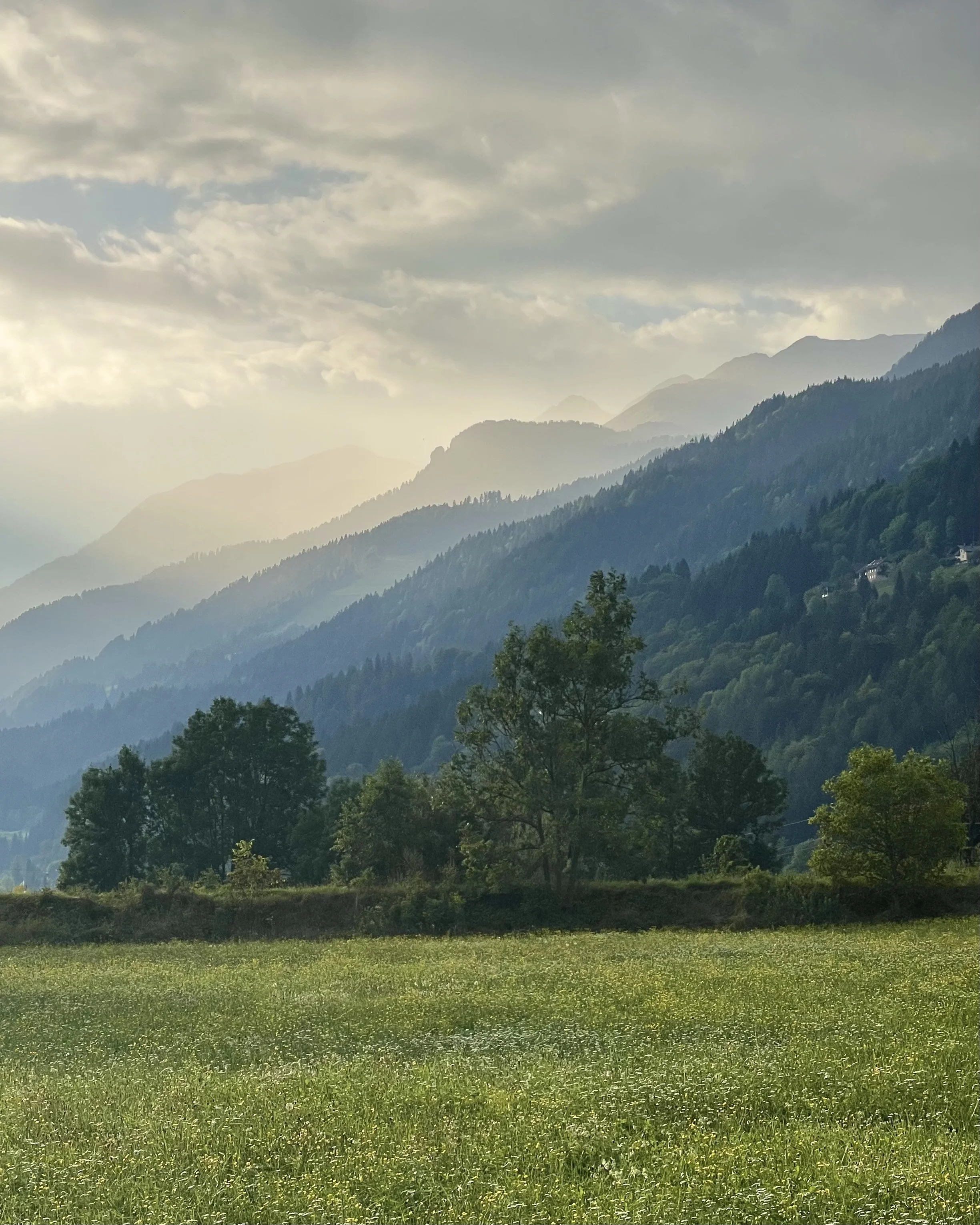 Autumn colours of the Gailtal, looking towards the Gailtaler Alpen.
