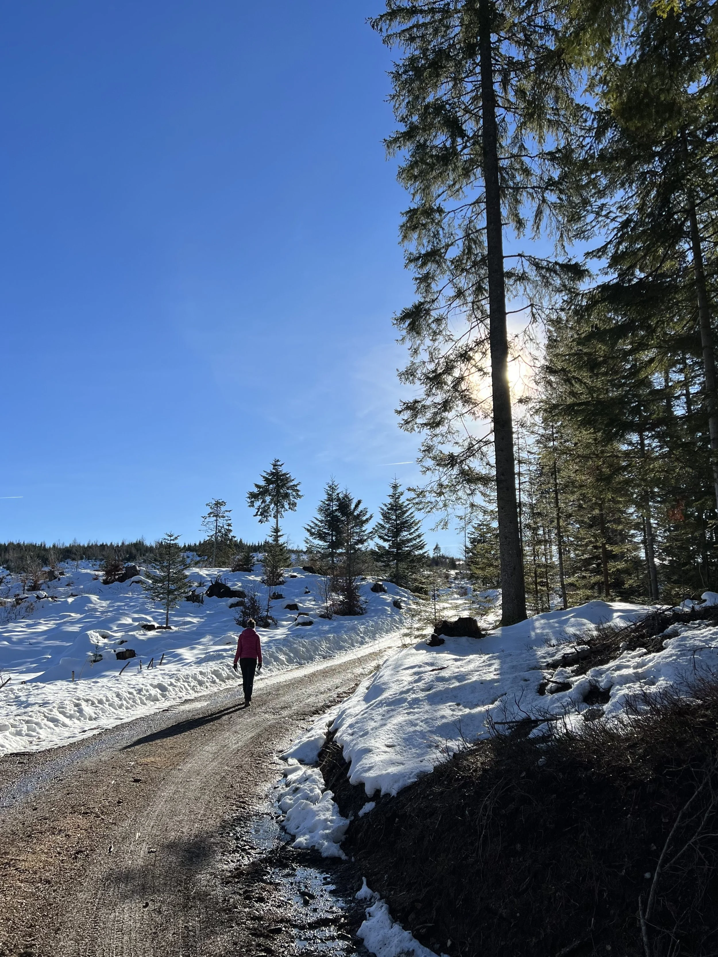Winter hikes in the Gailtal. 