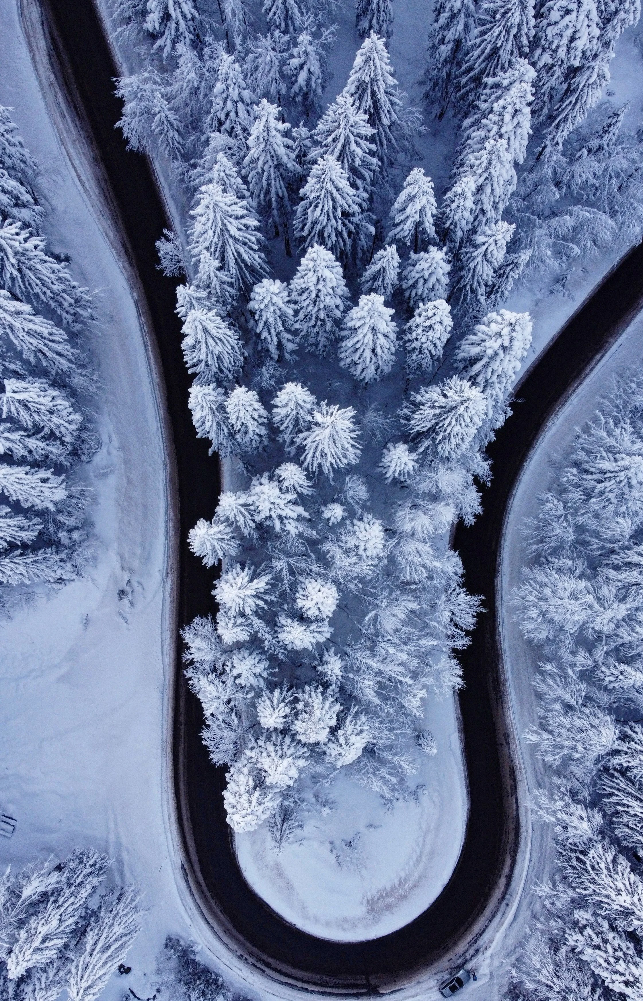 Bodensee, on the Nassfeld-Pramollo Pass, Karnten