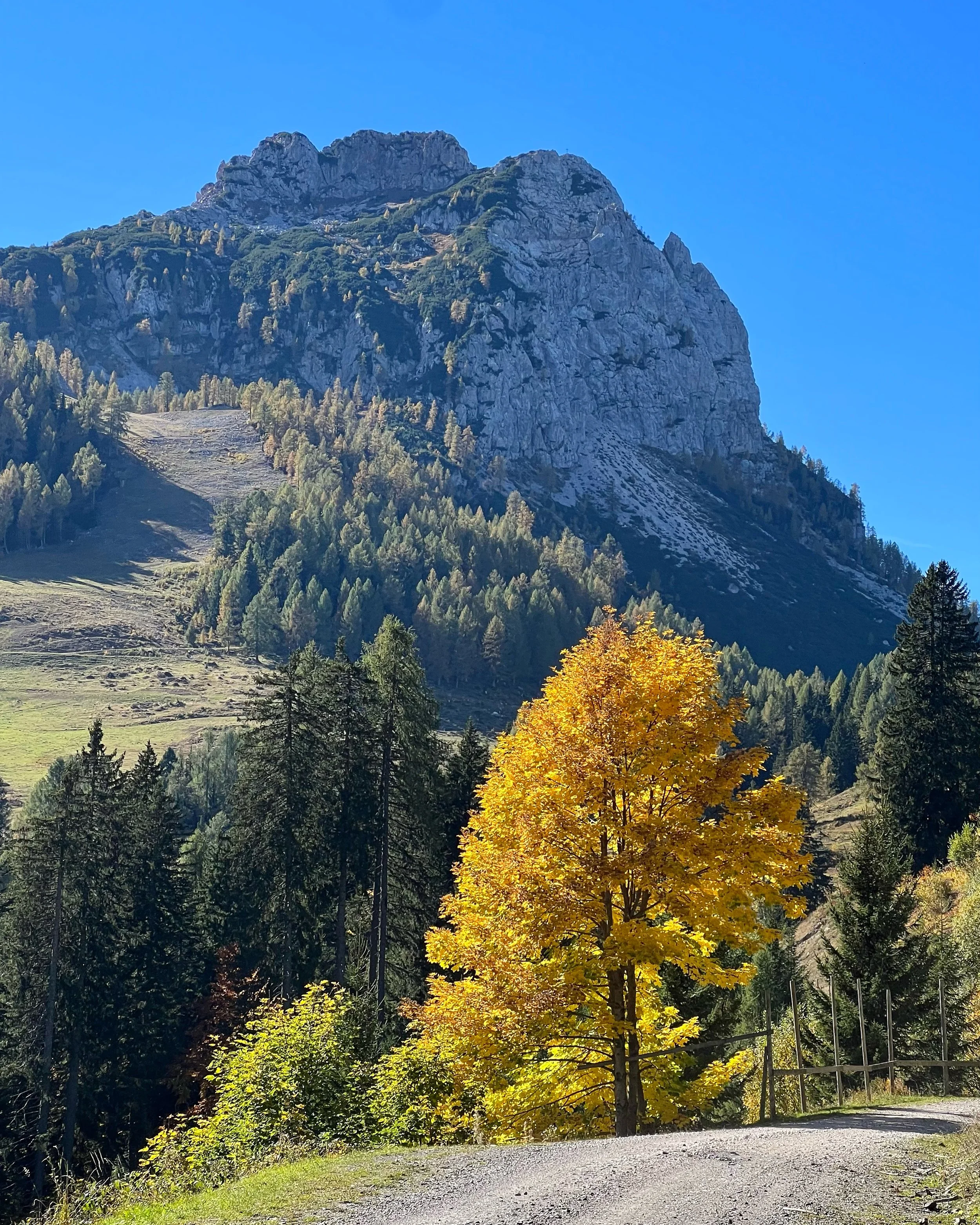 Autumn in Nassfeld, Kärnten, Austria. On the way to the Tropolacher Alm.