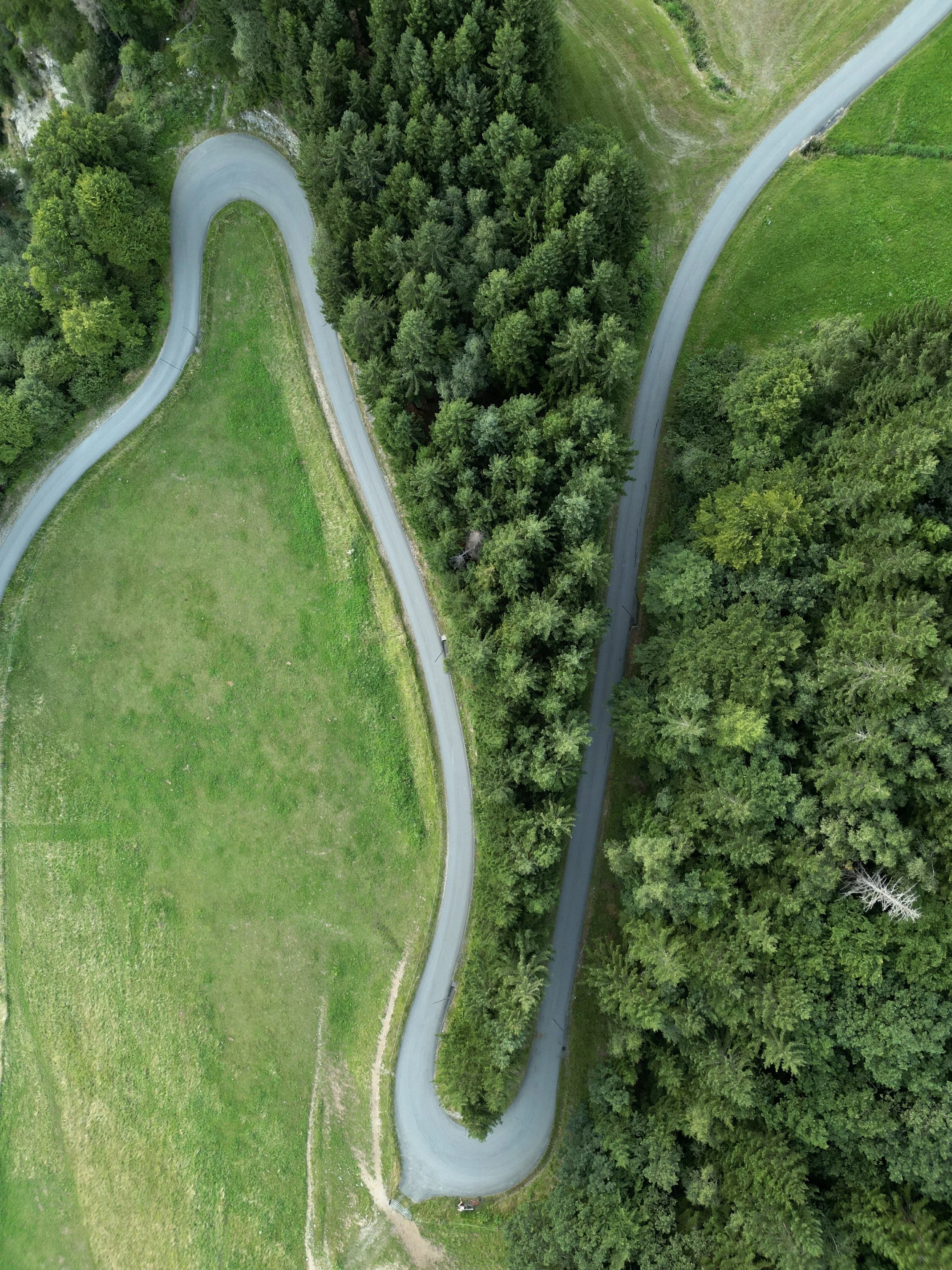 One of the many good cycling roads in the valley.  