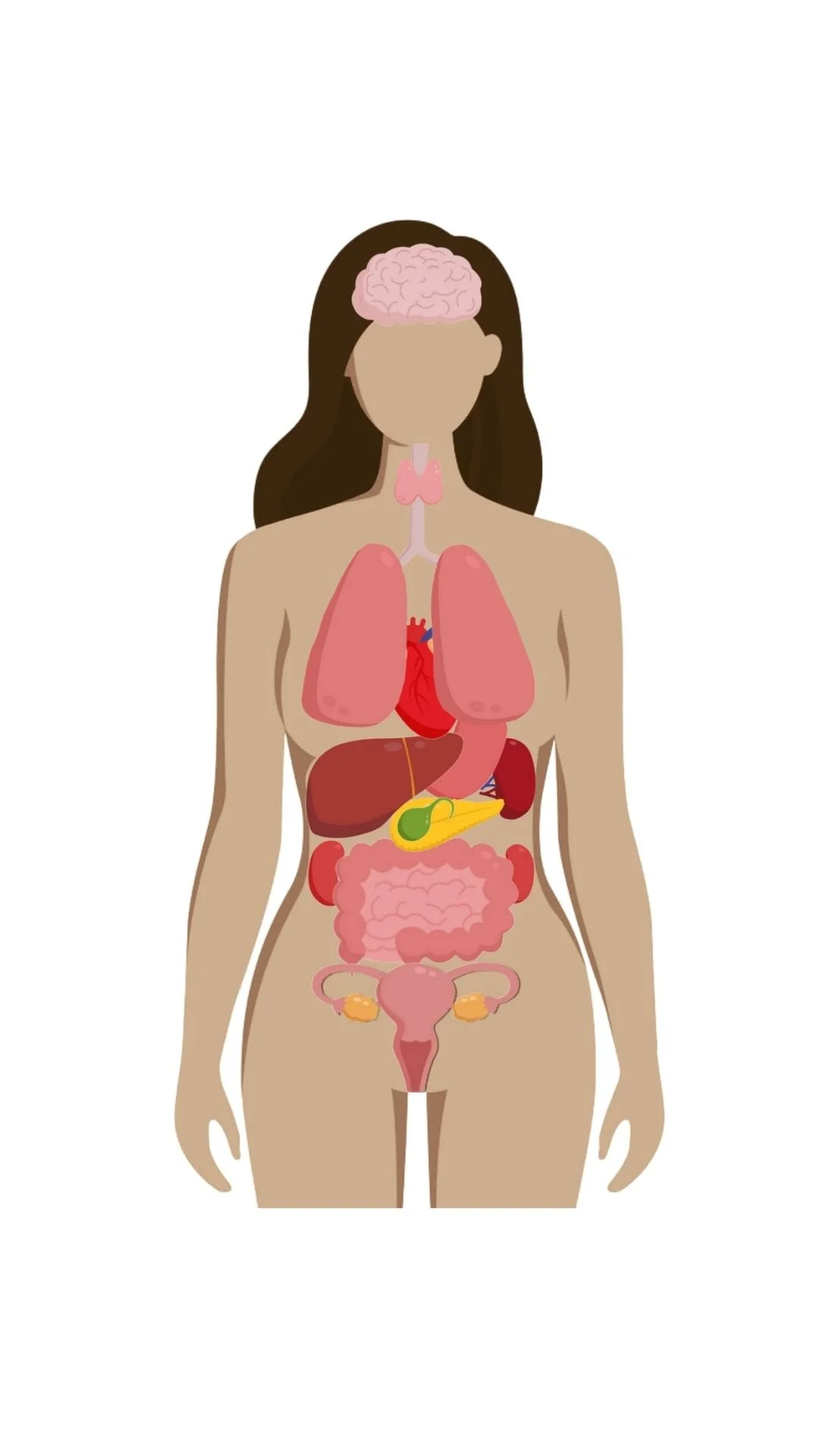 Sweetbay Talks: Optimizing Digestion