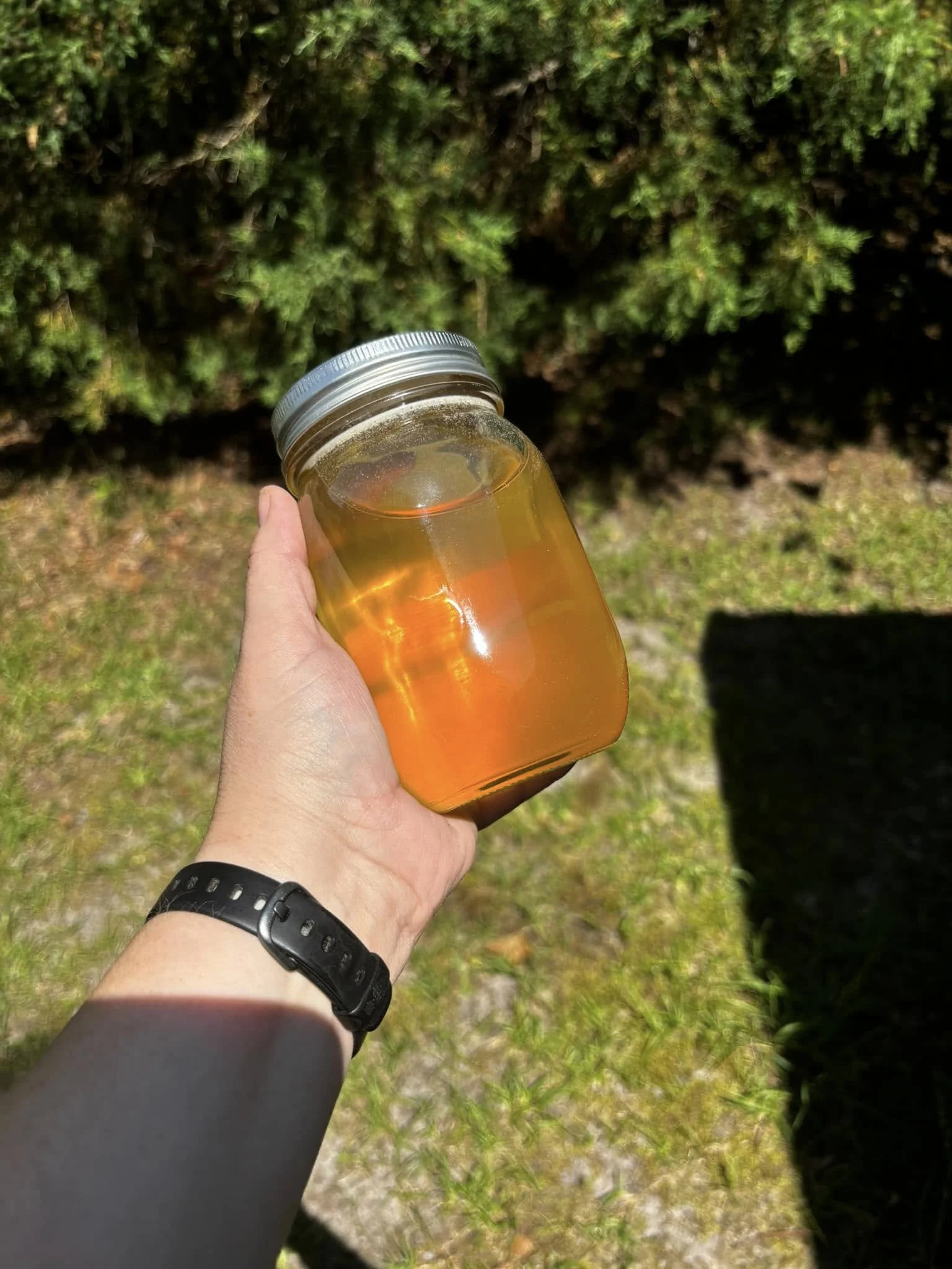 honey.jpg