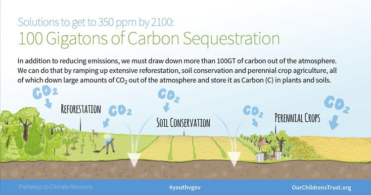 OCT.PathwayToClimateRecovery13.jpeg