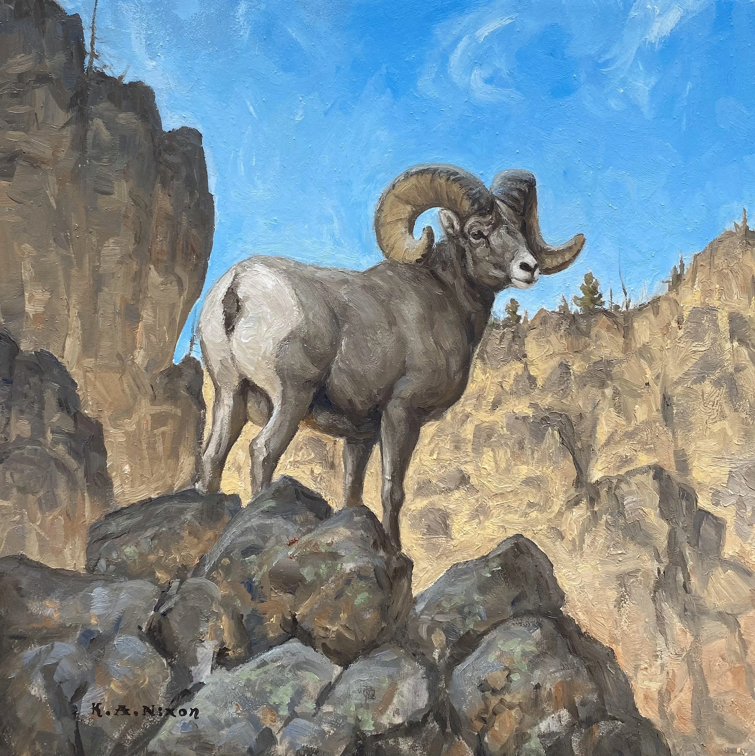 K Nixon An Unforgiving Land 2024 12 x 12 Oil on Canvas.jpg