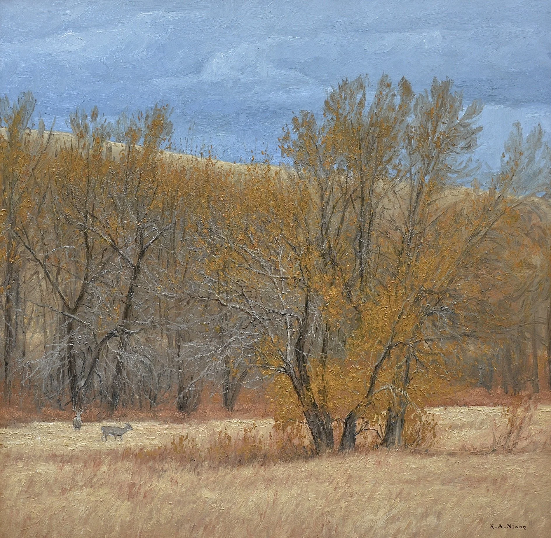 K Nixon Novembers Haste Resize.jpeg