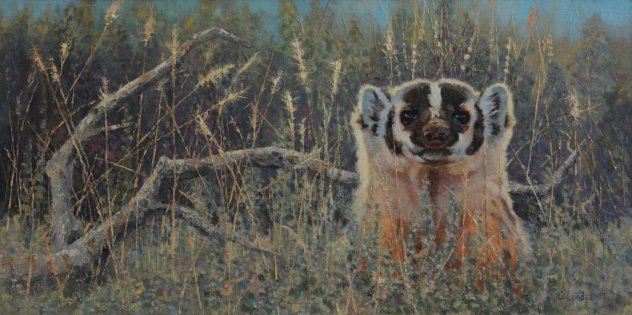 Up Periscope - American Badger by Carol Lundeen.jpg