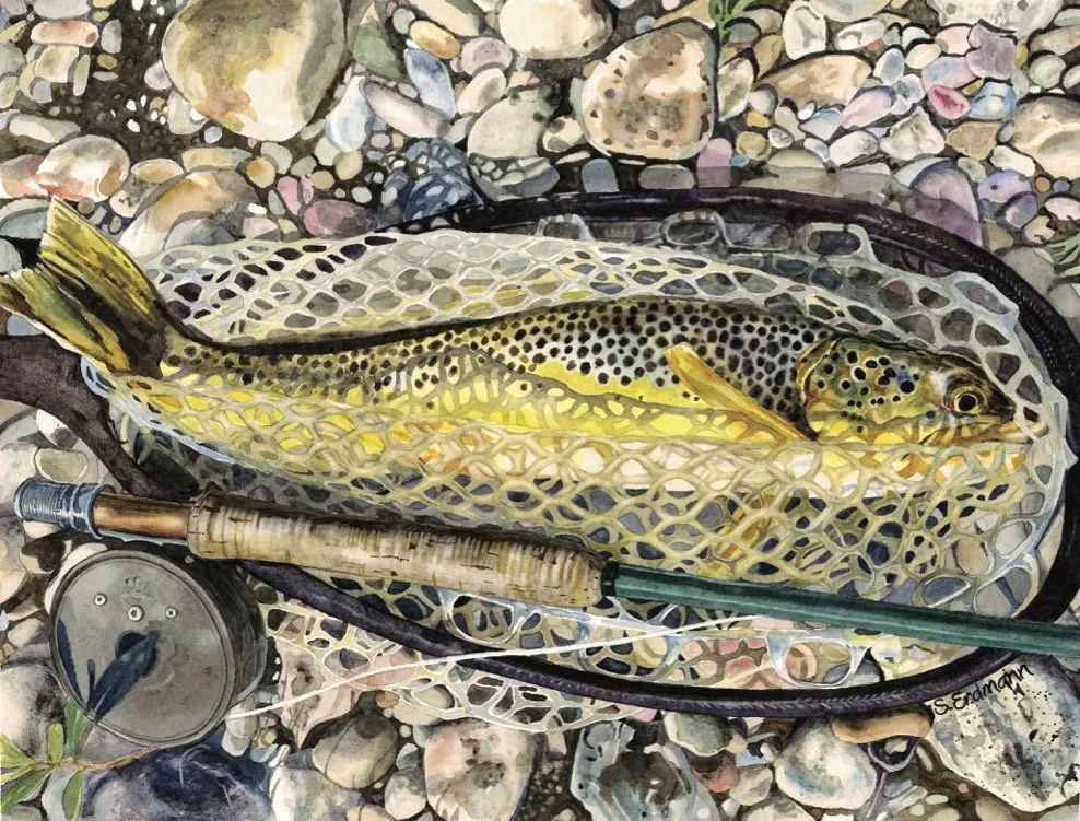 Saturday's CatchJPG.jpg