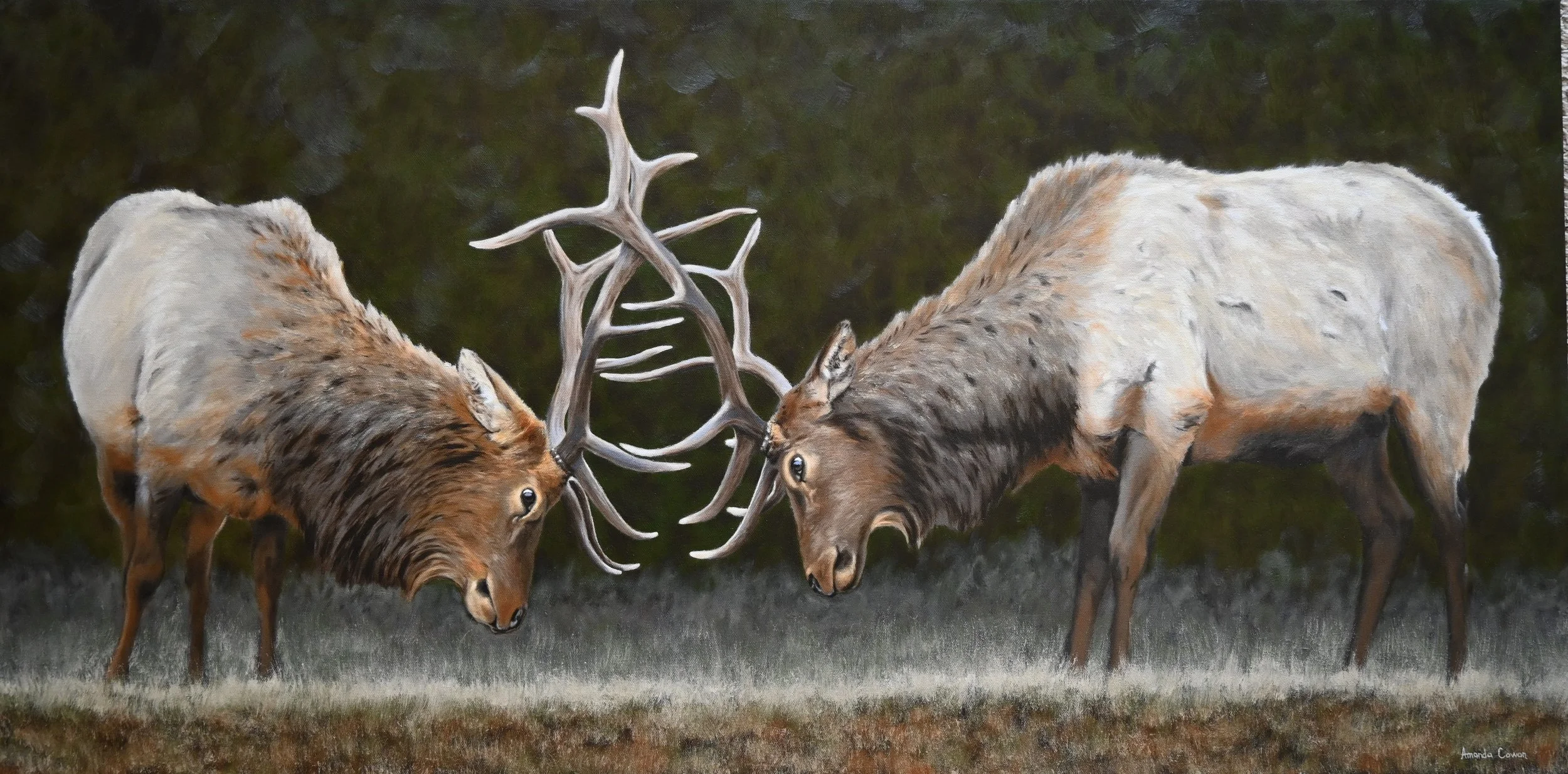 03.12 Boys will be boys 24x48.jpg