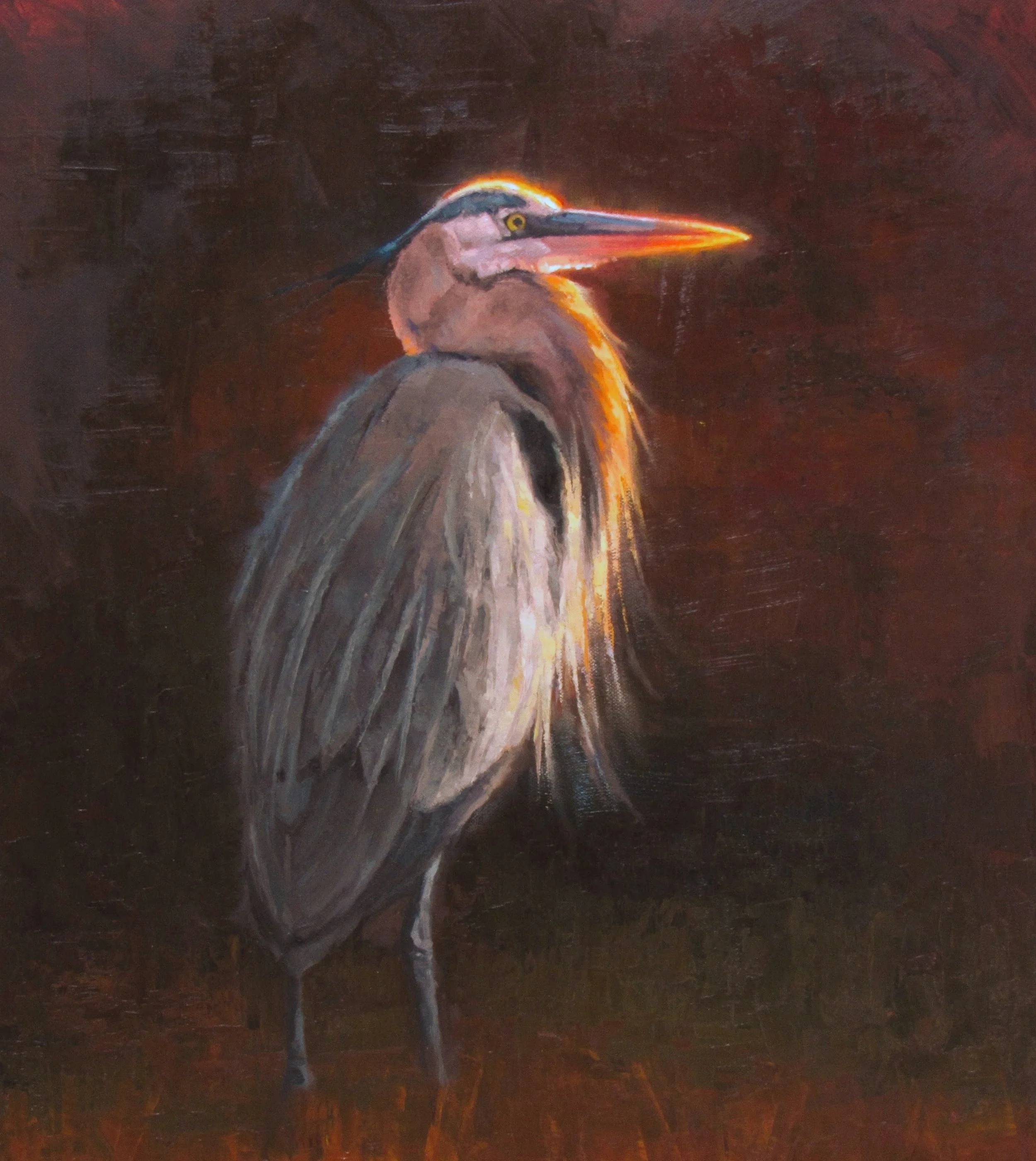 Blue and Gold blue heron 18x24.jpg