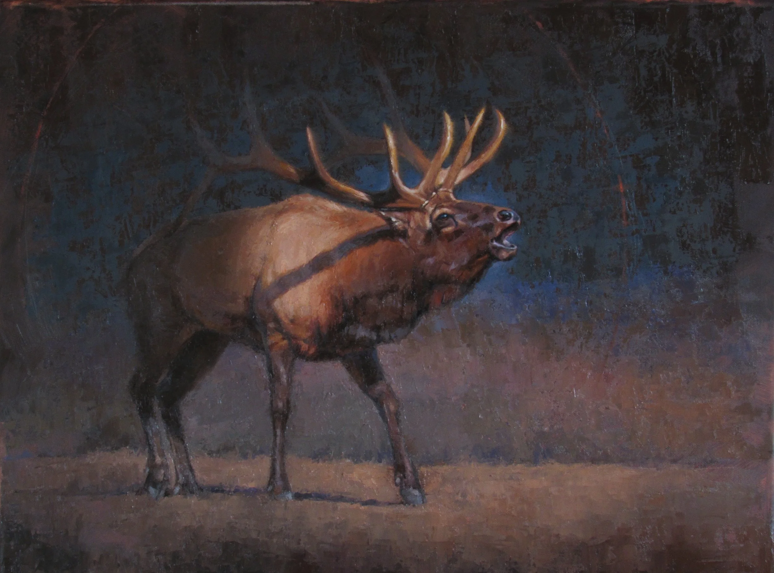 Between light and Shadow.jpg