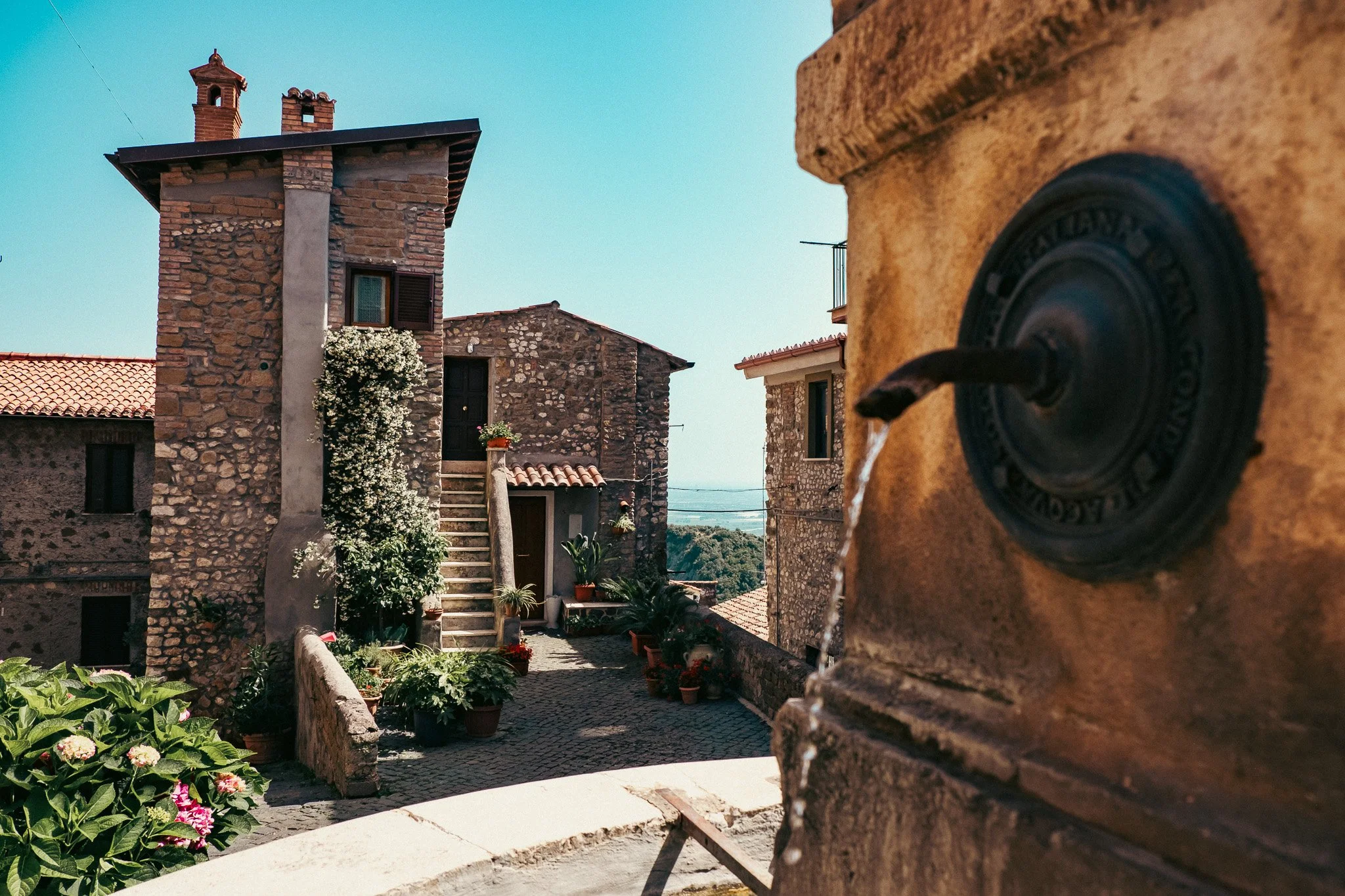 DSCF5575.jpg