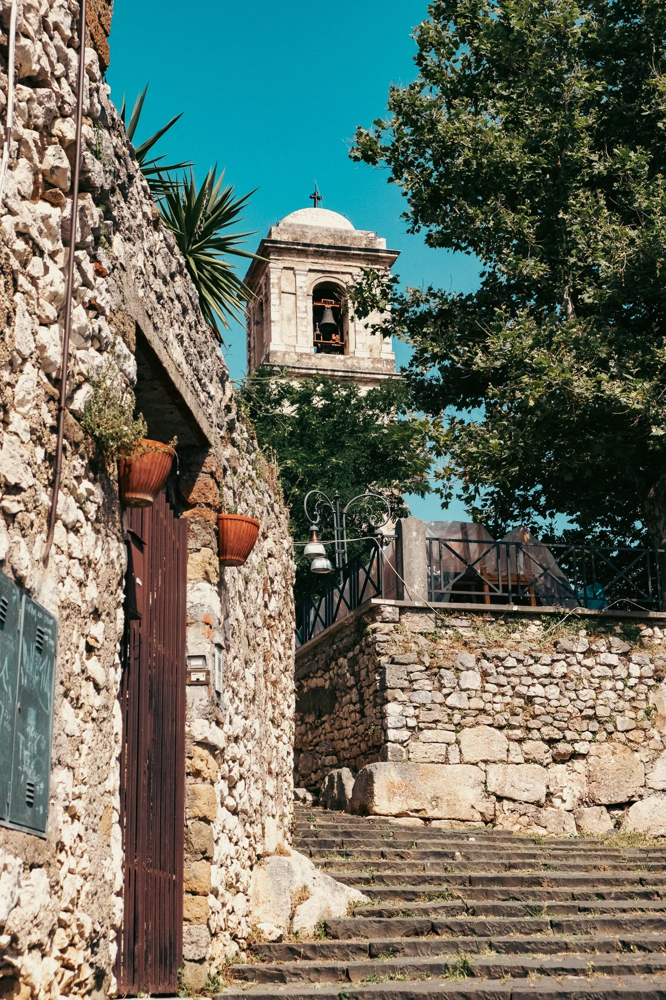 DSCF5589.jpg