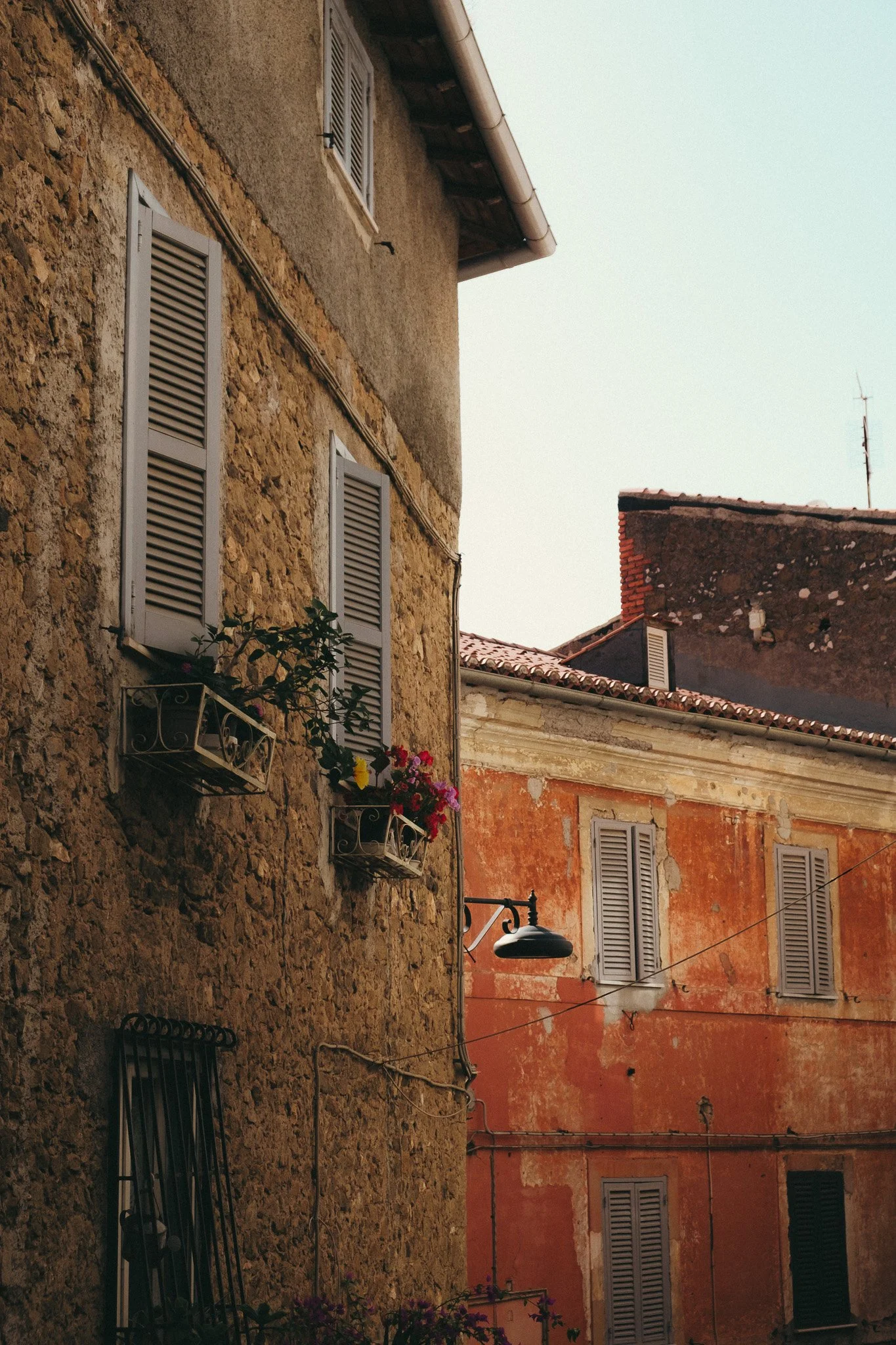 DSCF5650.jpg