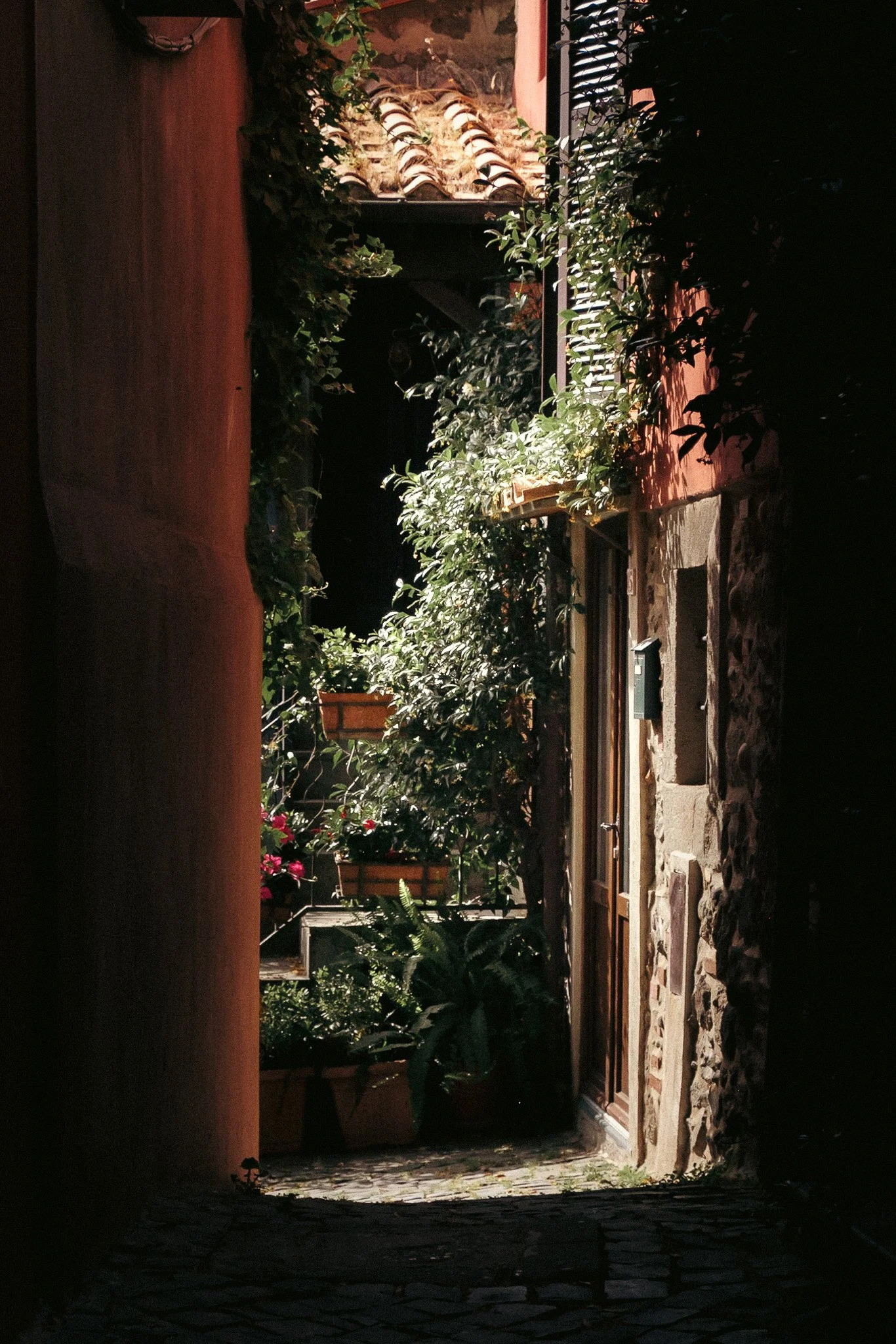 DSCF5719.jpg