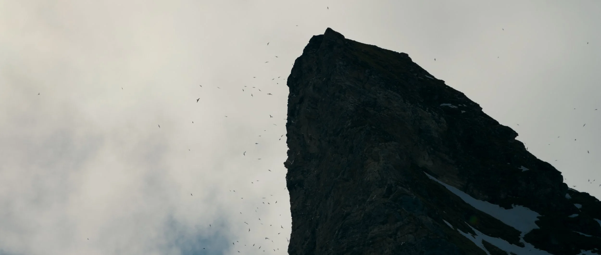 Svalbard Finals_1.1.26.jpg