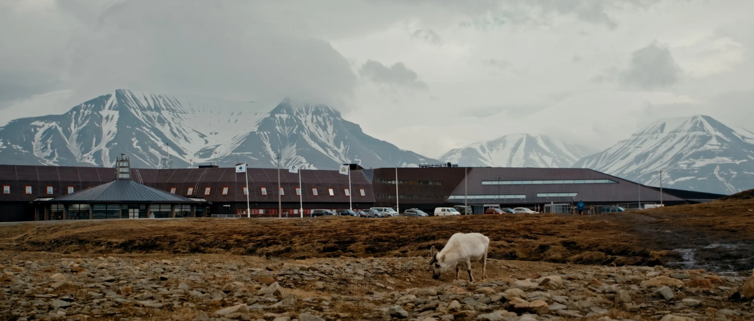 Svalbard Finals_1.1.10.jpg