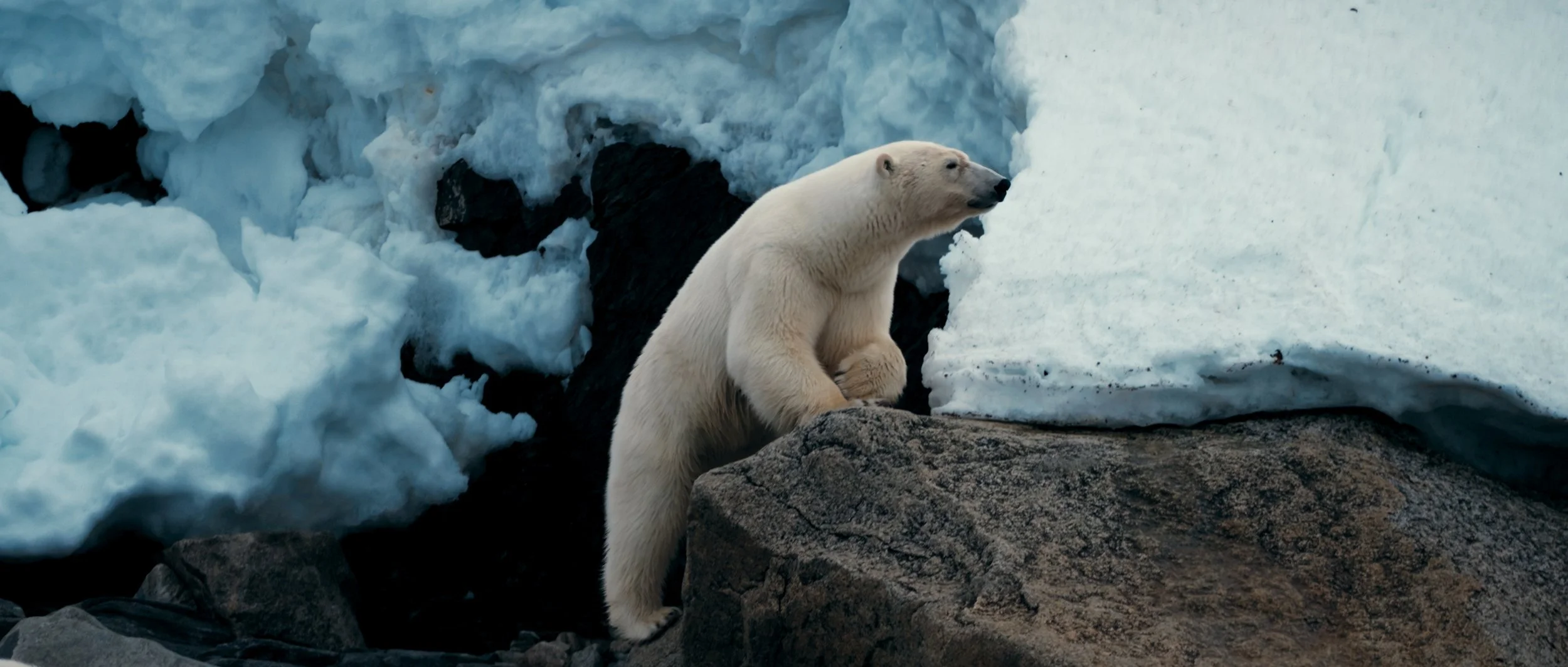 Svalbard Finals_2.1.3.jpg