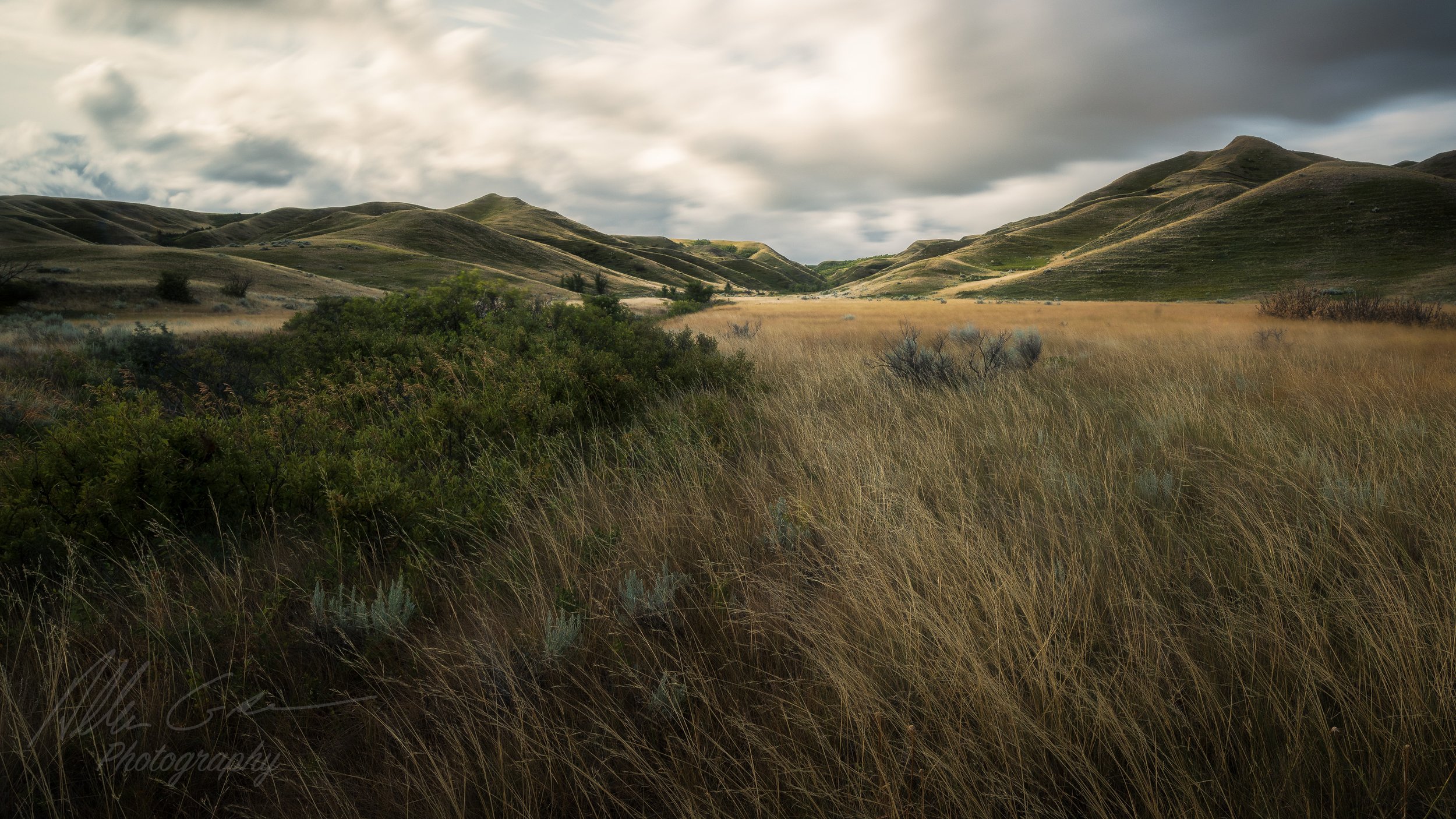 241A9873-Edit.jpg