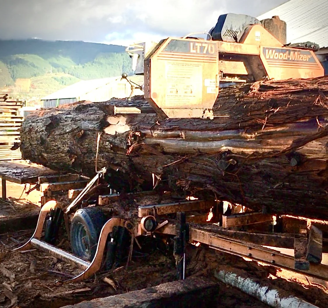 Milling a big Redwood on the Wood-Mizer.