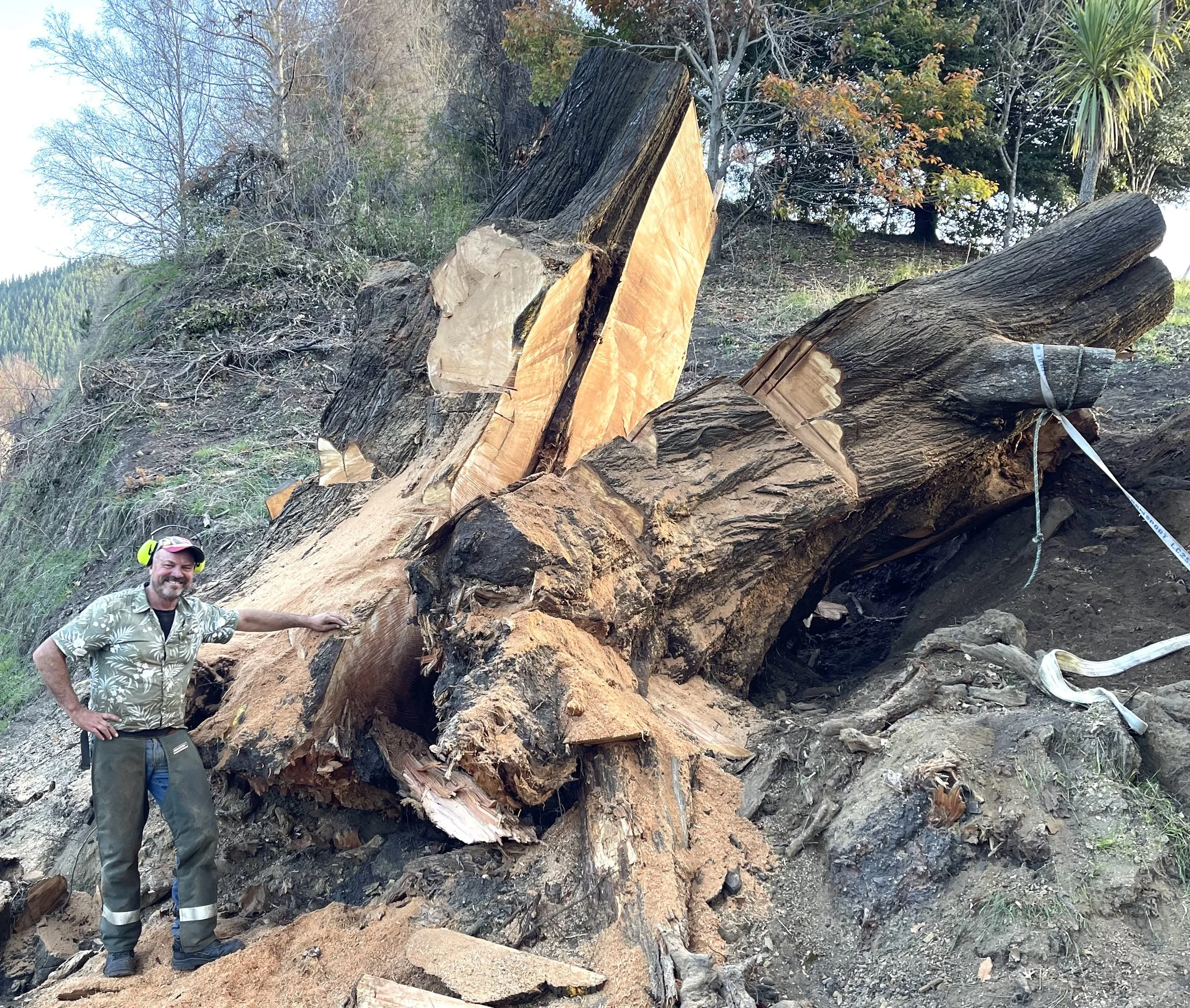 The big Huskie is a a valuable piece of gear on a job like this. We could never lift this butt log in one piece