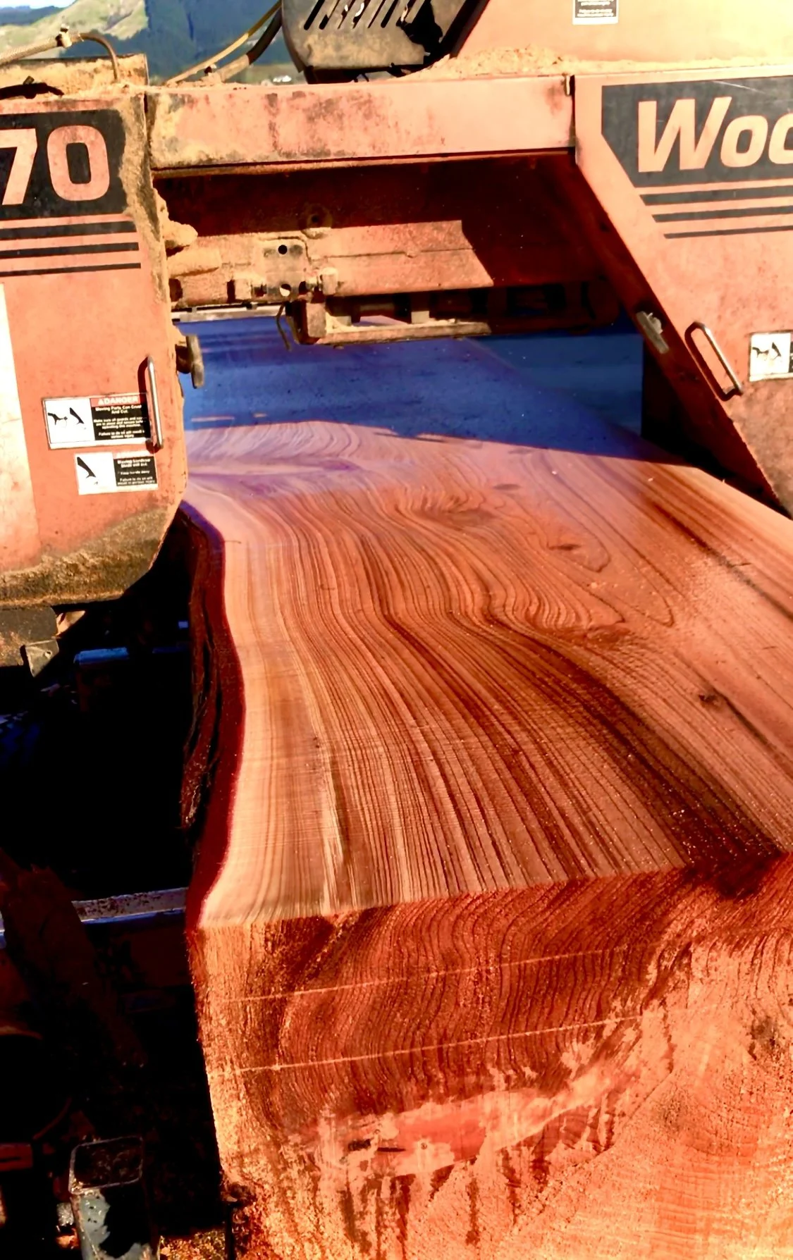 Slabbing a Redwood log on the Wood-Mizer.