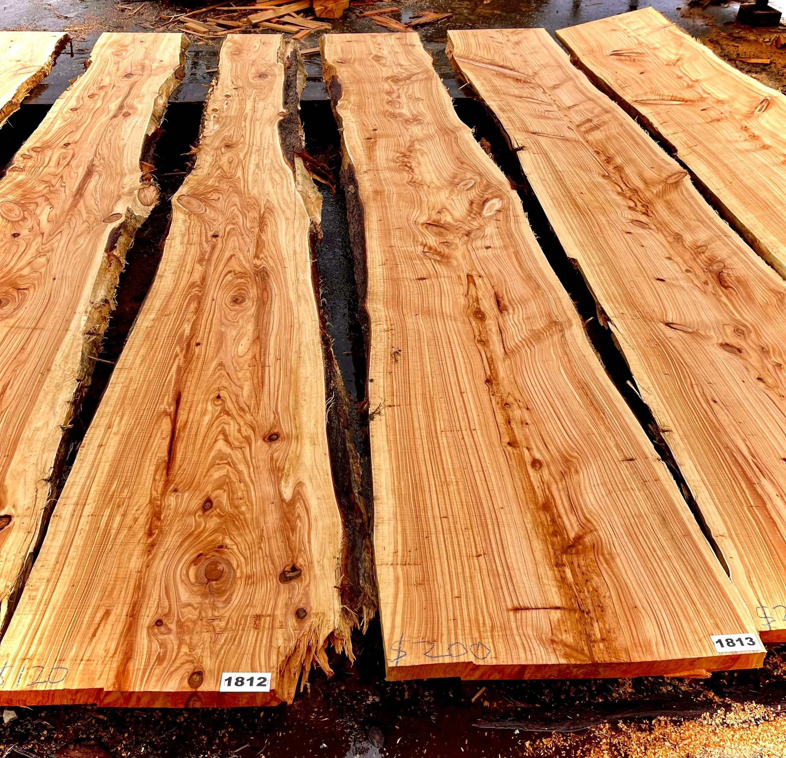 Macrocarpa Flitch / Slabs.
Fresh off the mill.
3.7m long
Width, small end - 40 cm to 55 cm
Width, large end - 65 to 72 cm
Thickness 50mm
Priced from $120 to $250 each.
Price is on each slab in crayon.