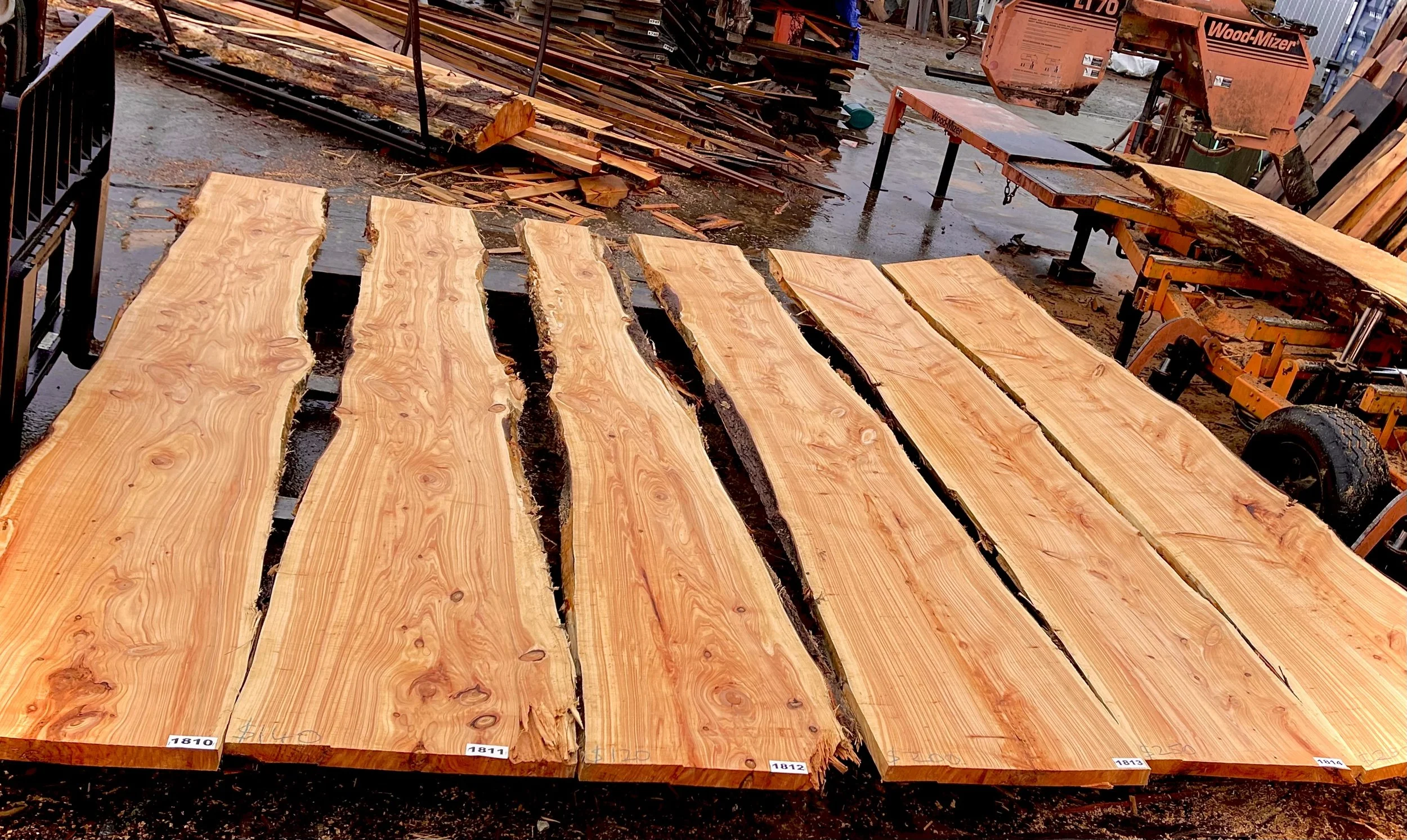 NZ Macrocarpa Flitch / Slabs.
Fresh off the mill.
3.7m long
Width, small end - 40 cm to 55 cm
Width, large end - 65 to 72 cm
Thickness 50mm
Priced from $120 to $250 each.
Price is on the flitch in crayon,.
