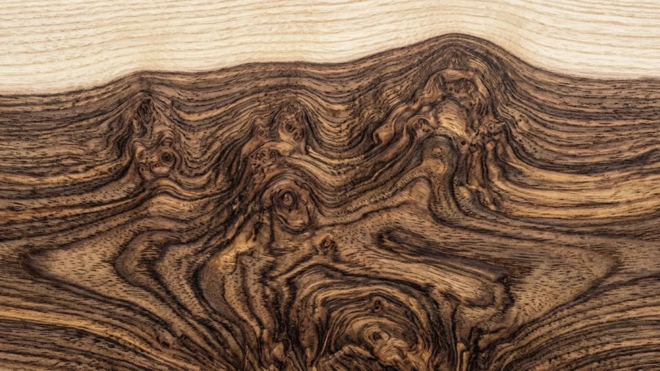 What Makes Elm Flitches Stand Out for One-of-a-Kind Furniture Projects in NZ 2