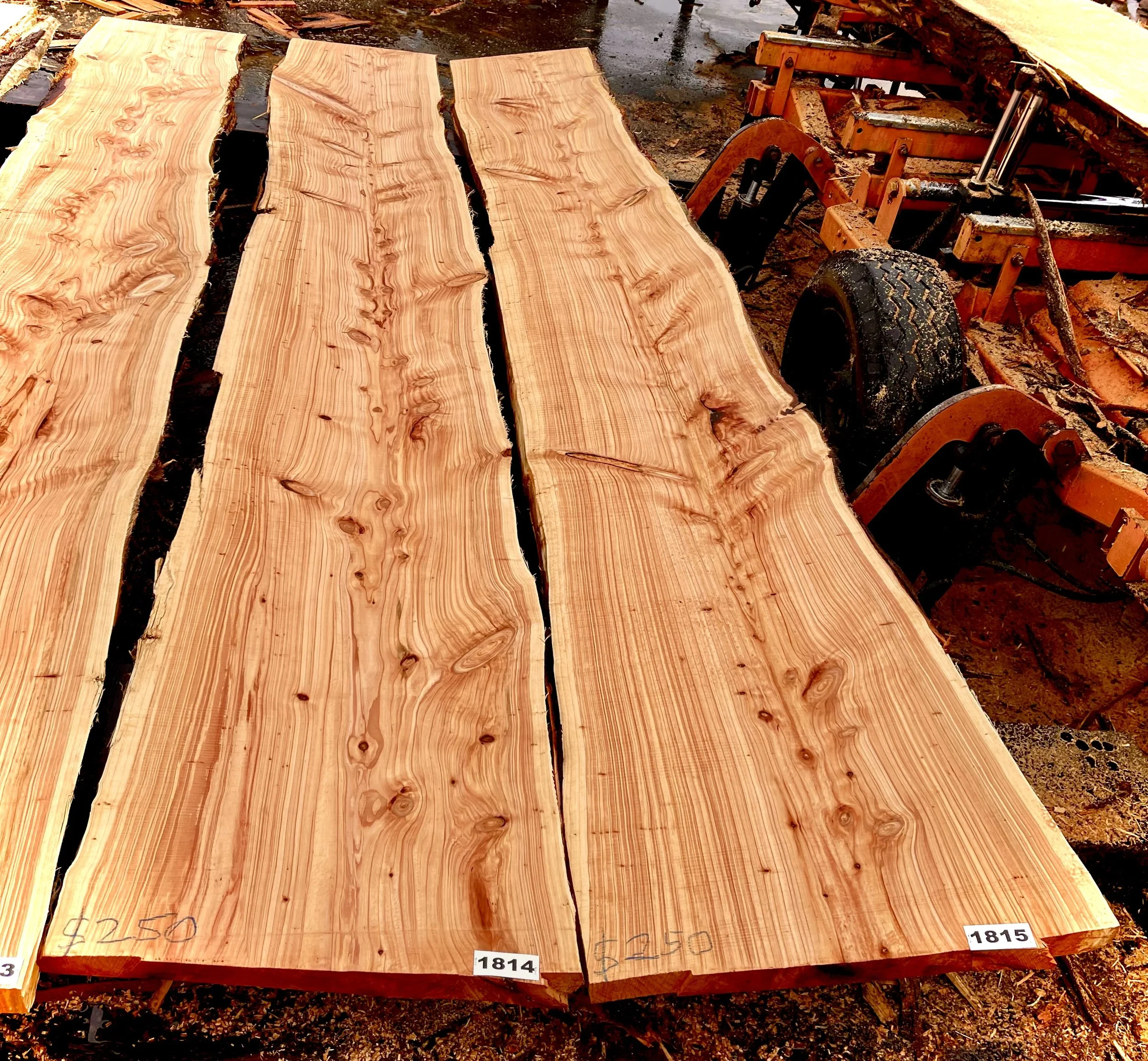 Macrocarpa Flitch / Slabs.
Fresh off the mill.
3.7m long
Width, small end - 40 cm to 55 cm
Width, large end - 65 to 72 cm
Thickness 50mm
Priced from $120 to $250 each..
Price is on each slab.