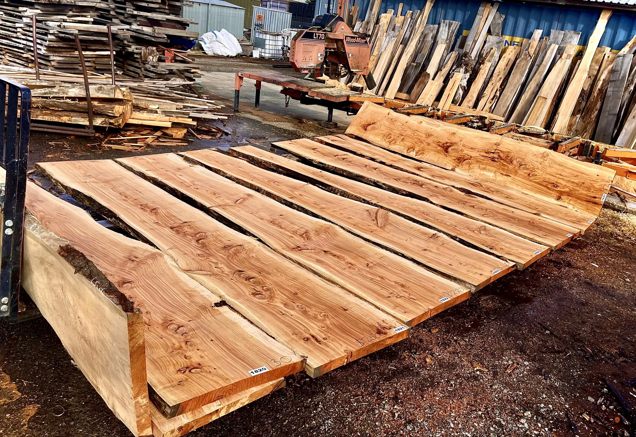More Macrocarpa Flitch / slabs (live edge) wood.
3.6 m long
60 to 75cm wide end
35 to 65cm narrow end
50mm thick
 $100 to $250 each.