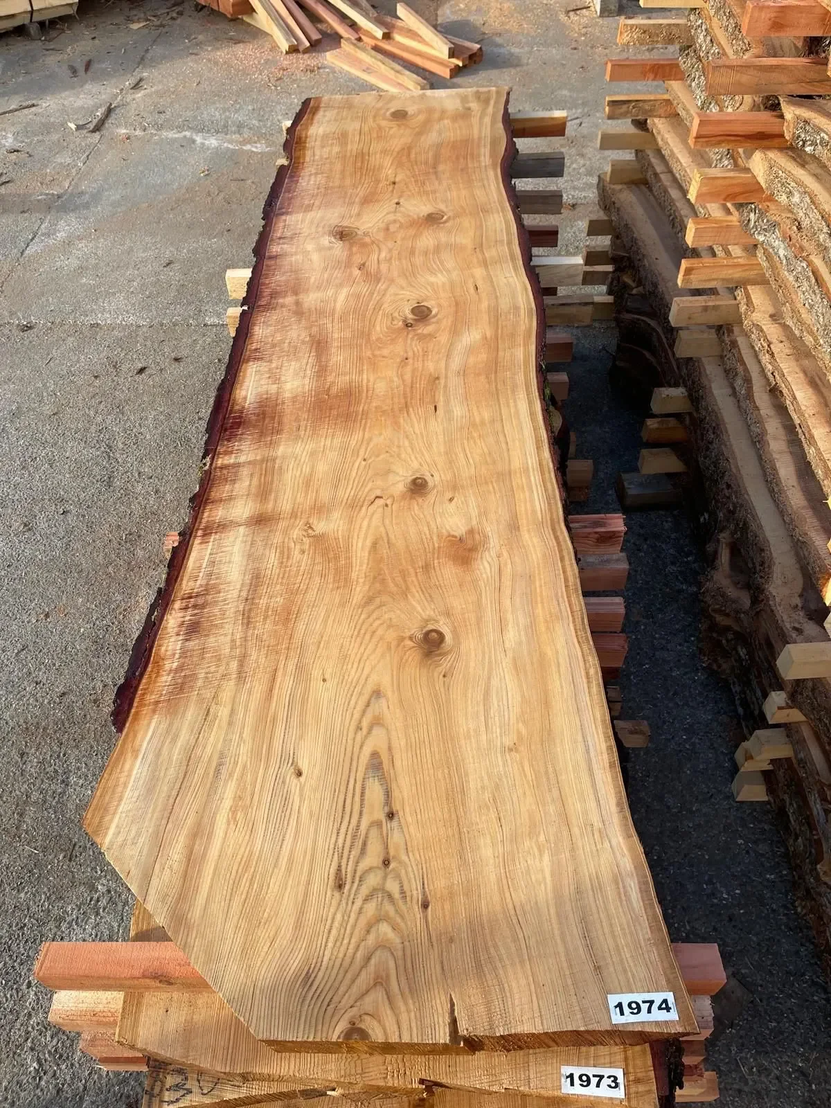 Timber Flitches Elm Flitch Timber Richmond Tasman - Plankville