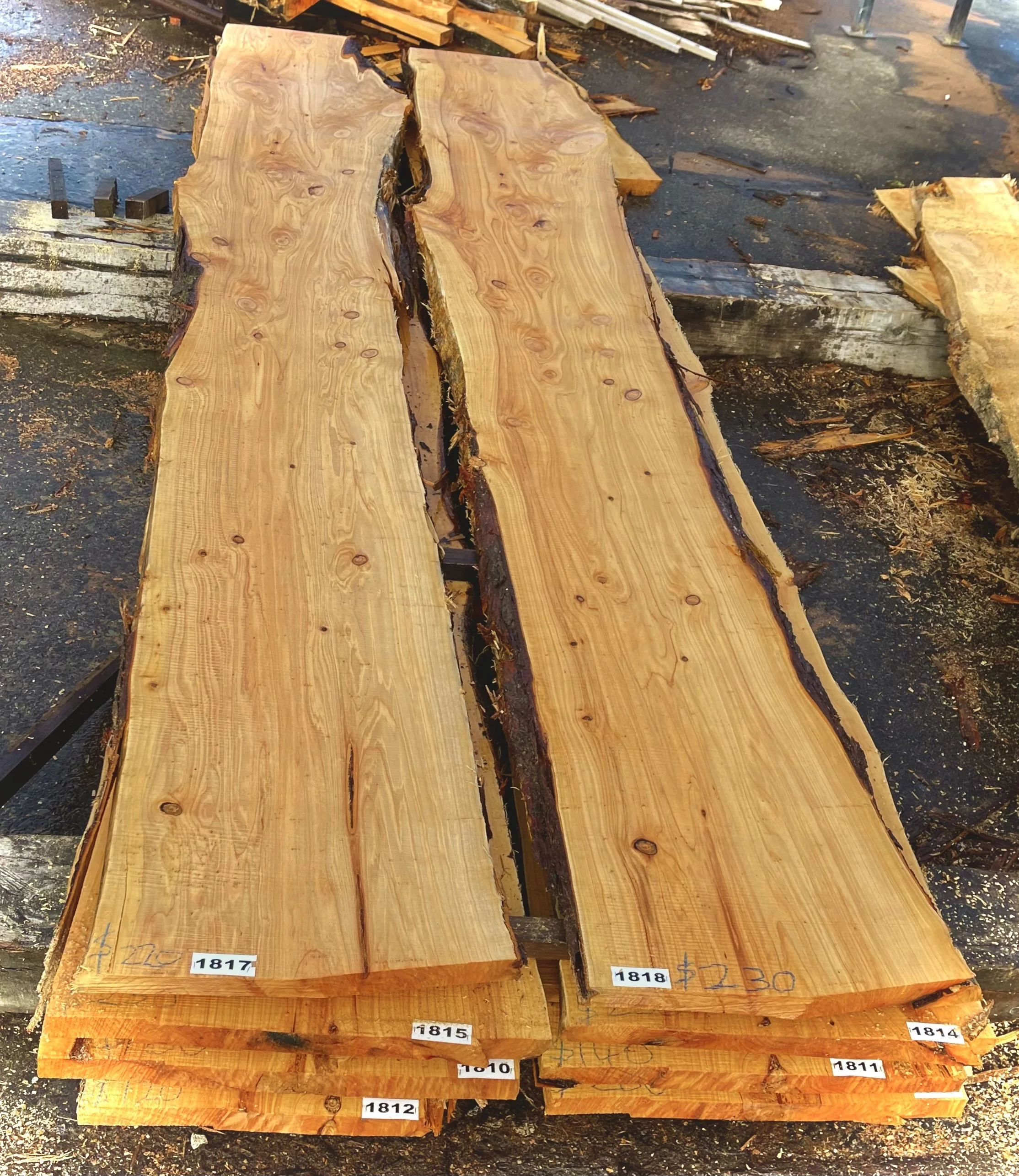 Macrocarpa Flitch / Slabs. Fresh off the mill. 3.7m long Width, small end - 40 cm to 55 cm Width, large end - 65 to 72 cm Thickness 50mm Priced from $120 to $250 each. Price is on the flitch in crayon,.
  Buy during Winter if poss. This is when we ha