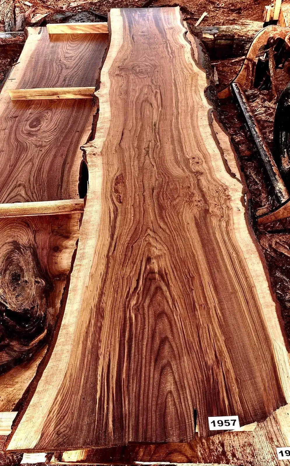 Timber Flitches Elm Flitch Timber Richmond Tasman - Plankville