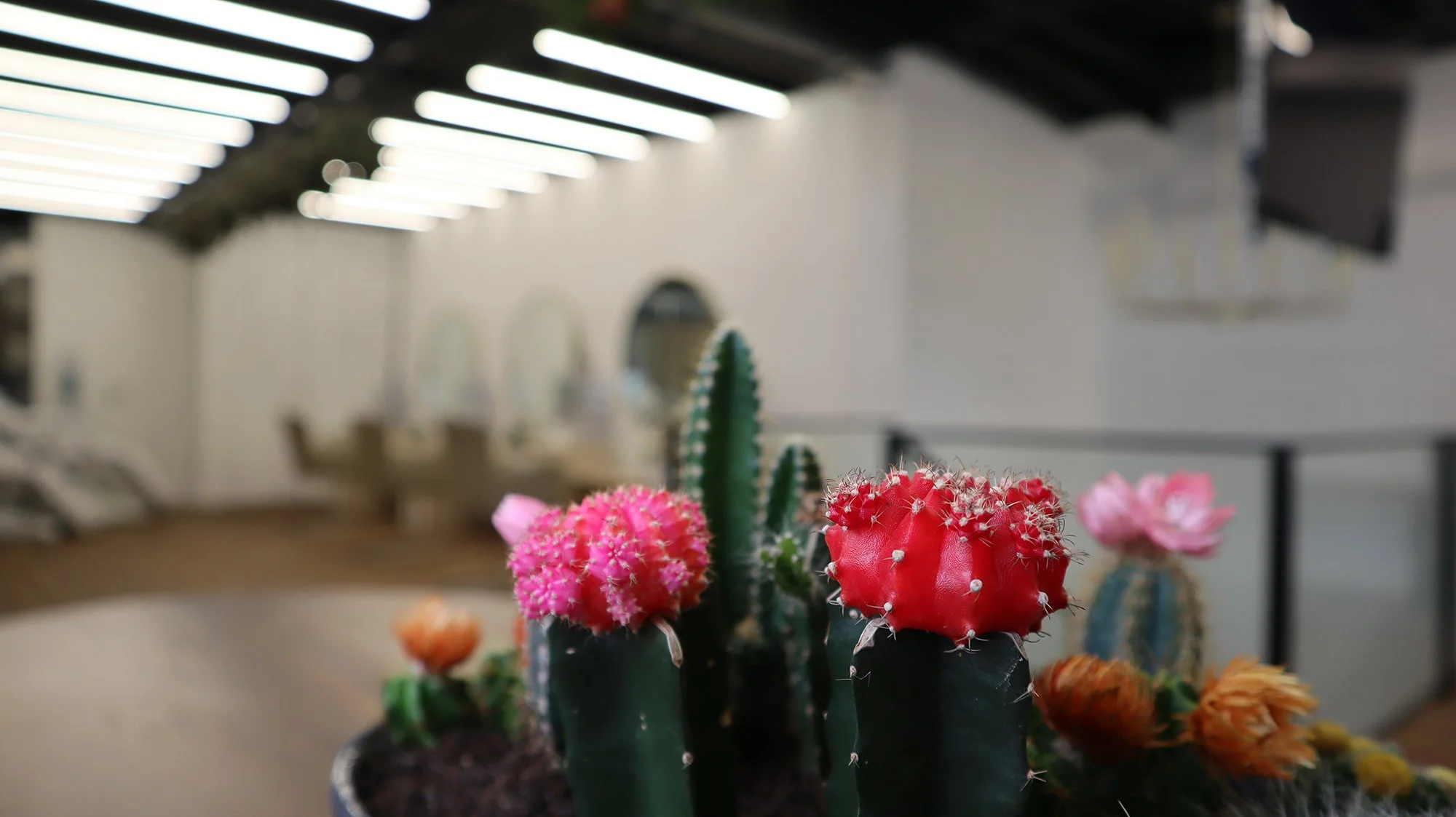 Hairdresser-Coworking-Space-Hamburg-20.jpg