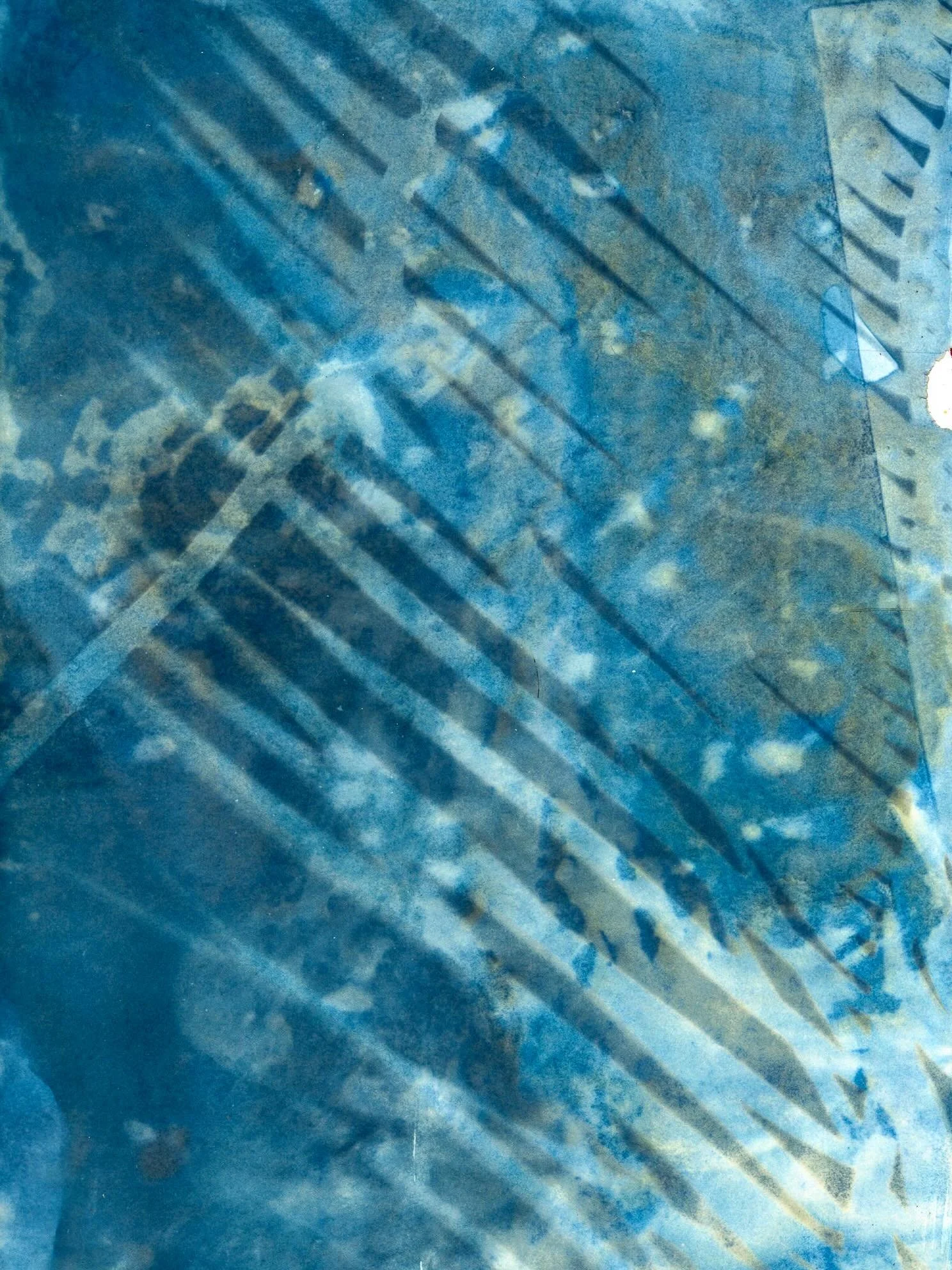 Cyanotype shadow play #art #artist #artwork #cyanotype #slowliving