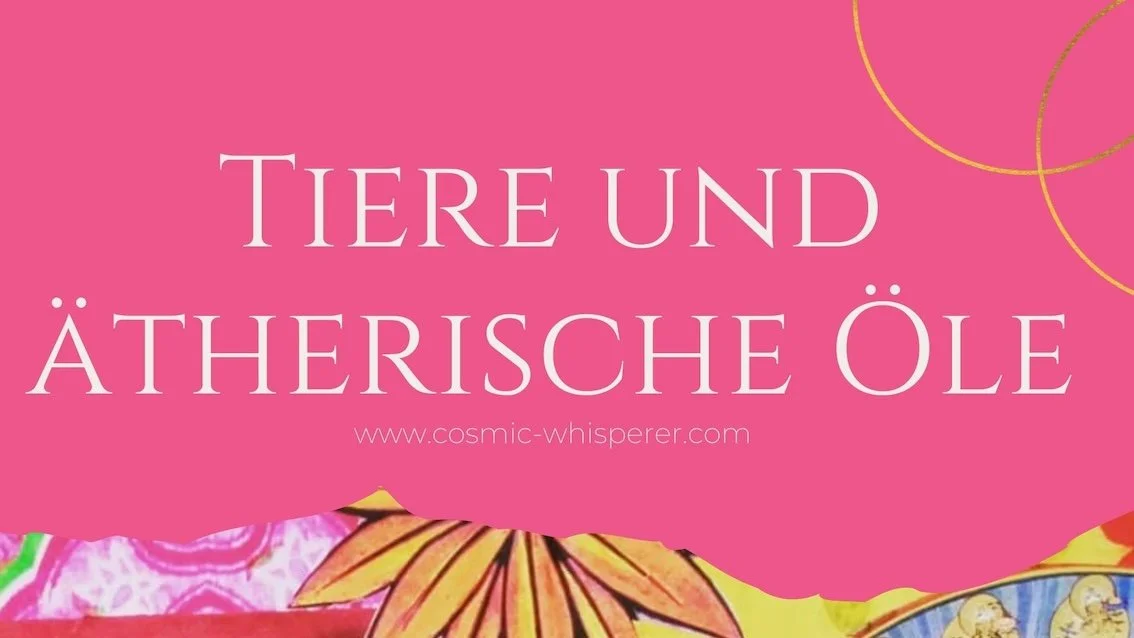 Ätherische Öle für Tiere