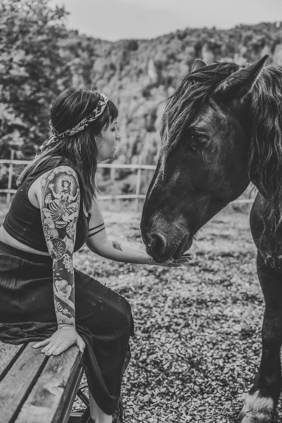 Tierkommunikatorin Alina sitzt auf einem Zaun und hält einem Pferd die Hand hin.