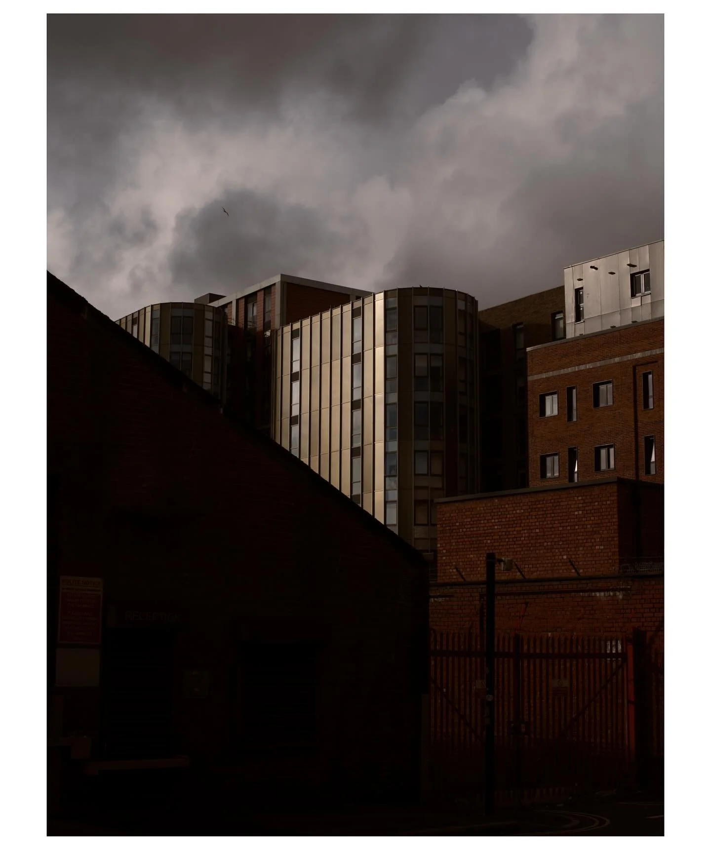 Randoms from this week.