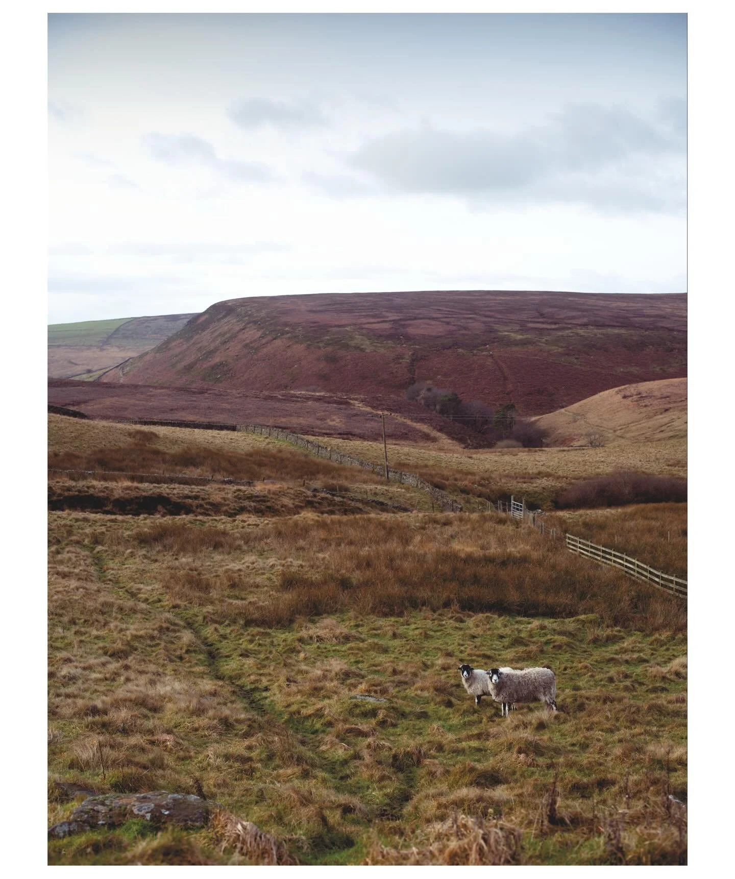 Somewhere outside of Buxton. Peak District.