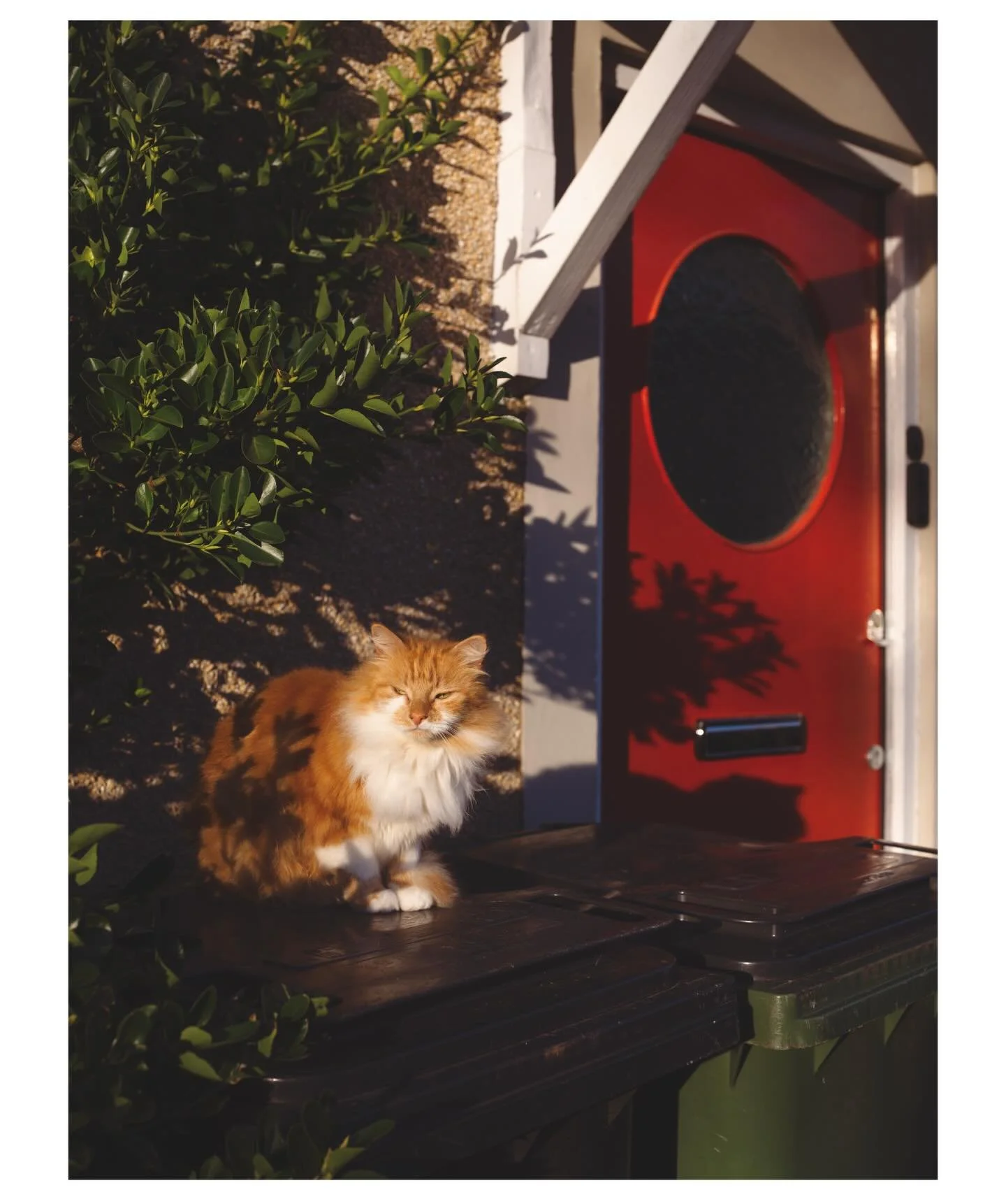 A walk around New Brighton.