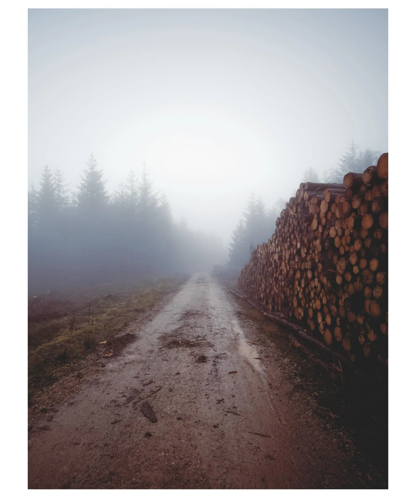Moel Famau. 6.2.26

A foggy and rainy day at Moel Famau with @elliealaisha. We got lost in the fog and didn&rsquo;t even find the top of the place, we are sooo good. 

As it was raining I had to resort to using my old camera which has been much negle