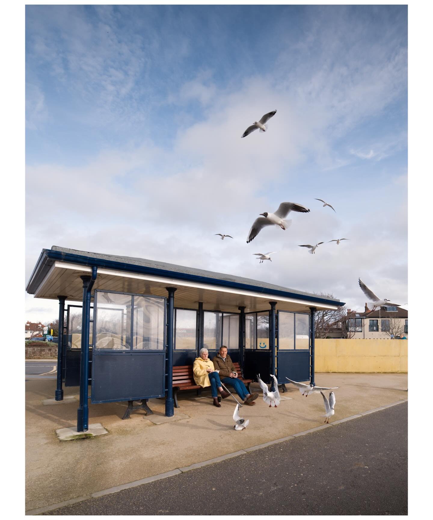 West Kirby seagulls.