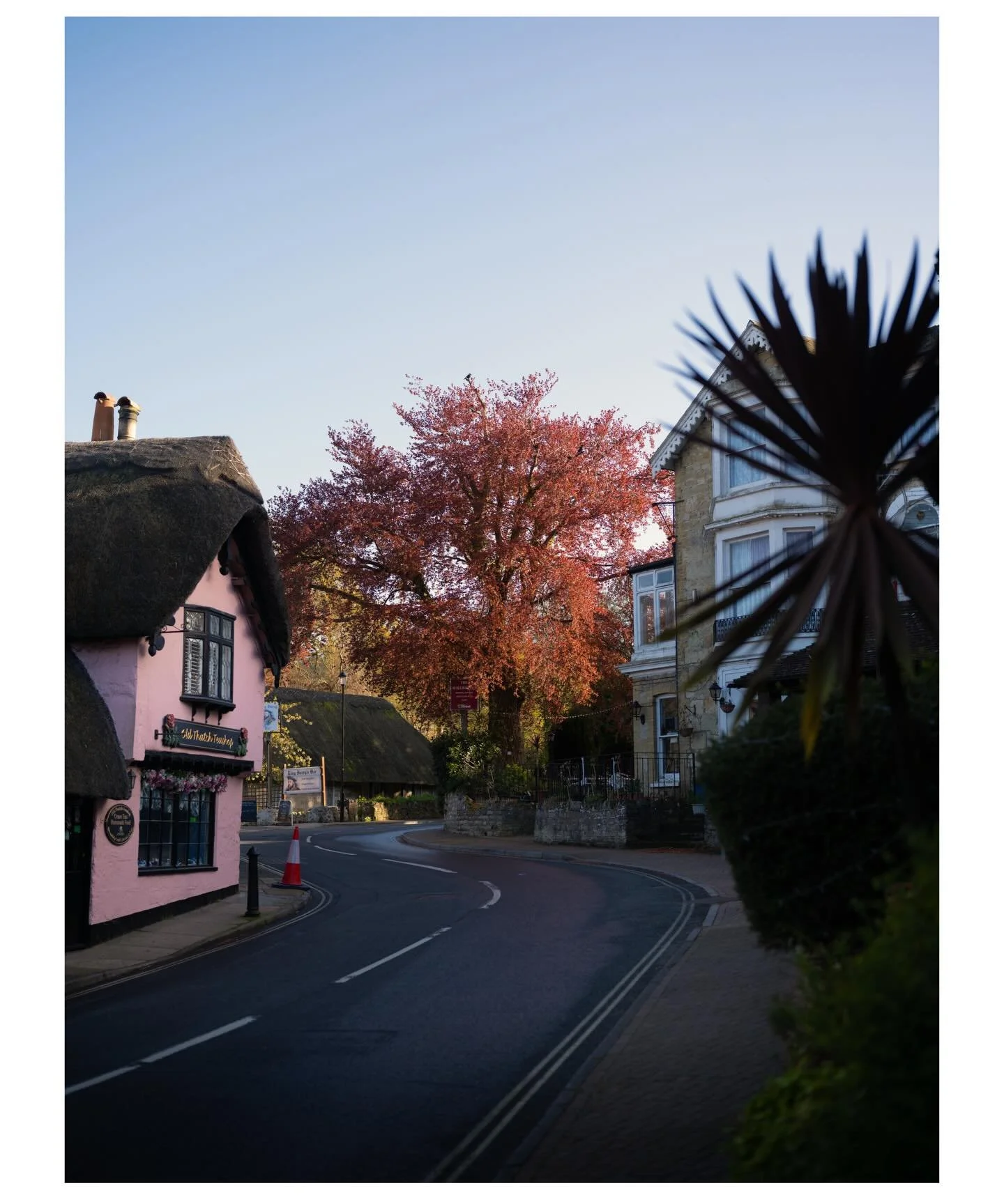 Shanklin Bay. Isle of Wight.