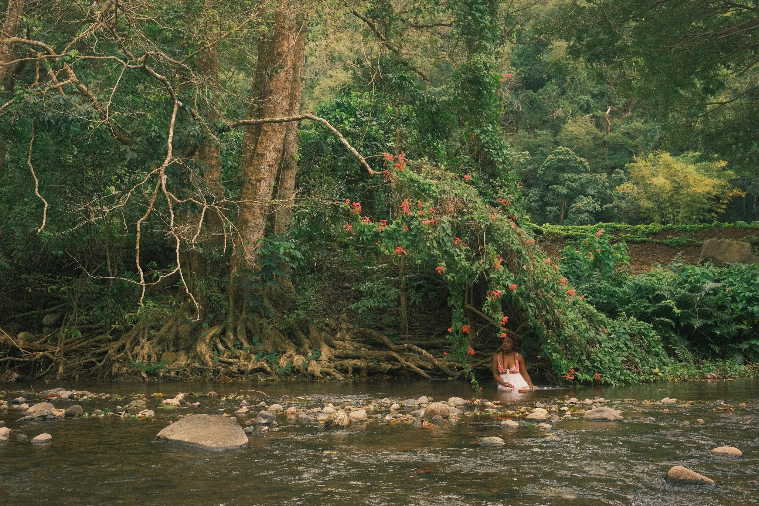 Photographic work by Adeline Rapon