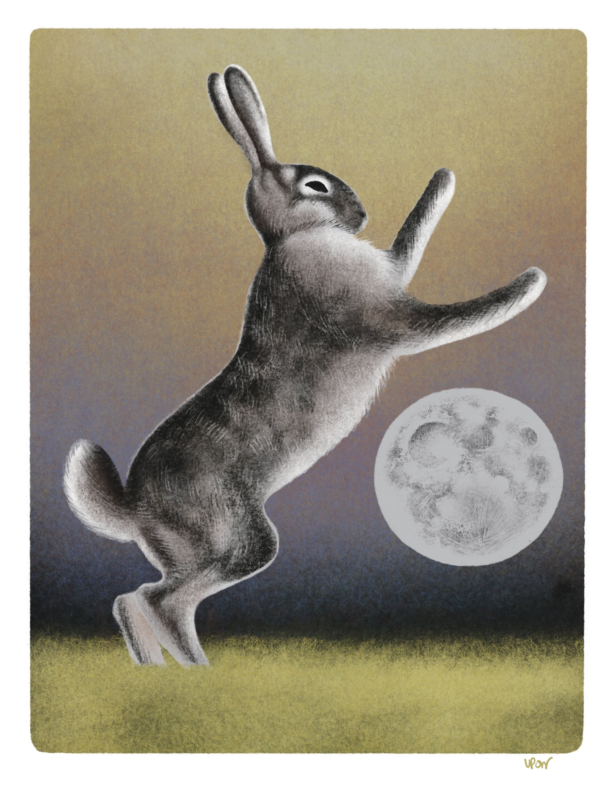 Hare_Small.jpg