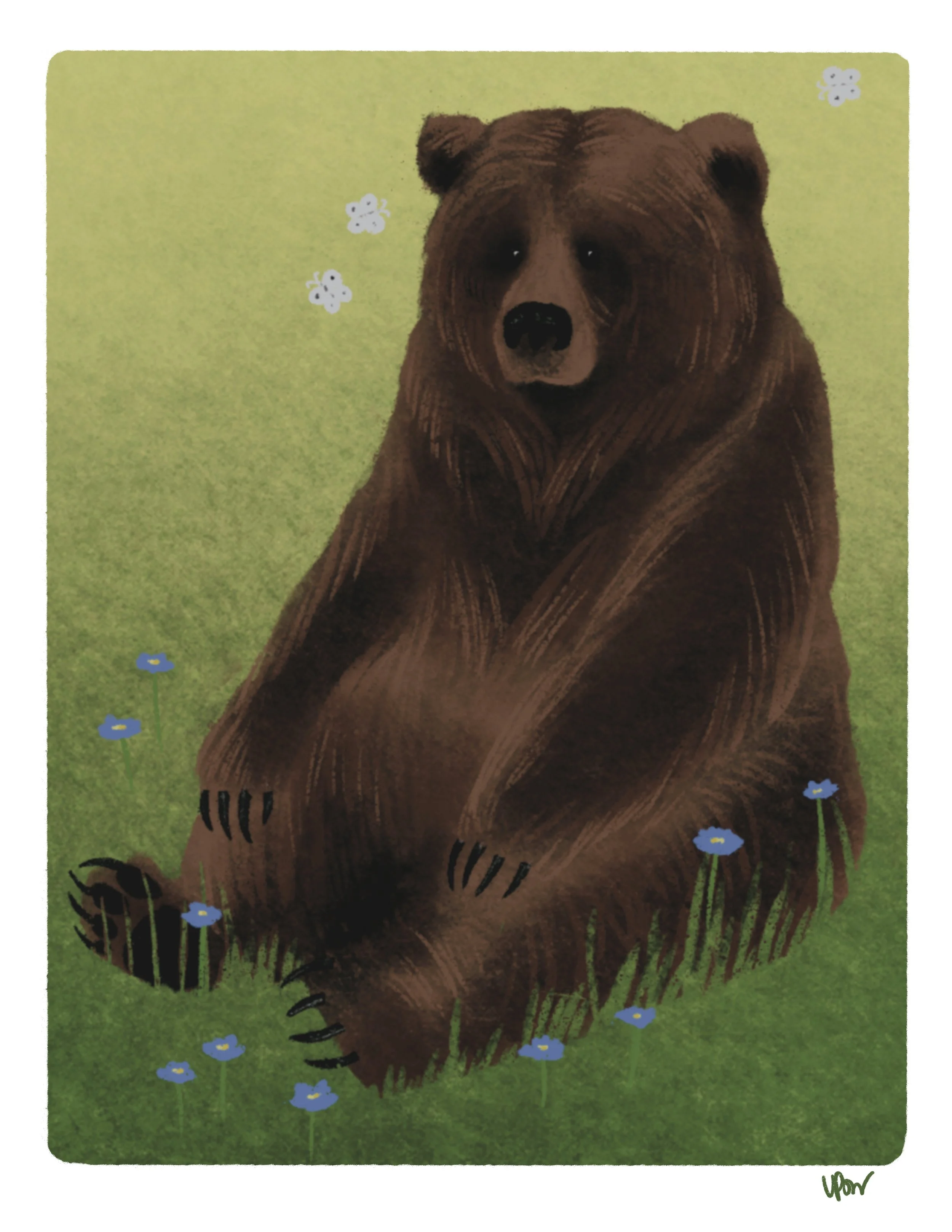 Bear_Small.jpg