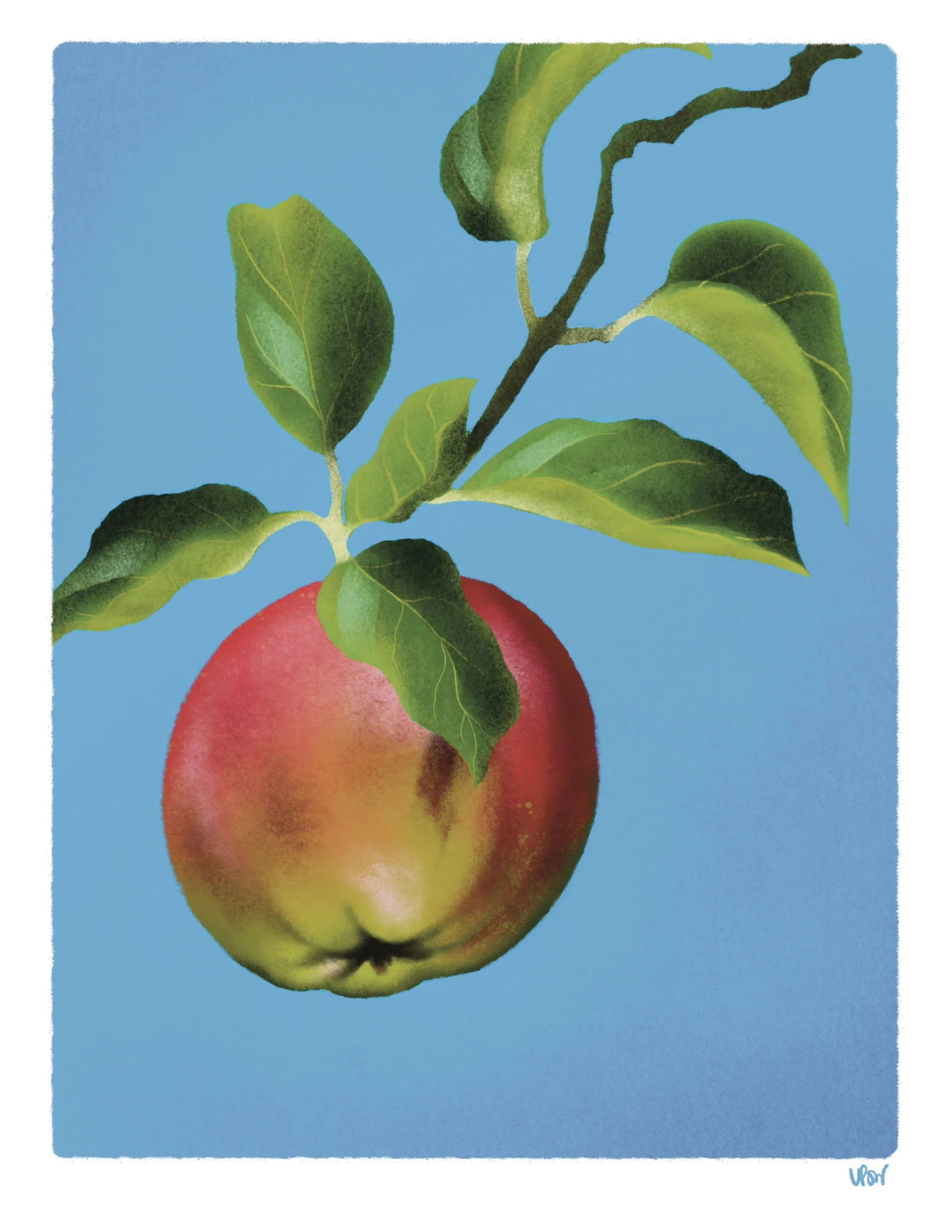 Apple_Small.jpg