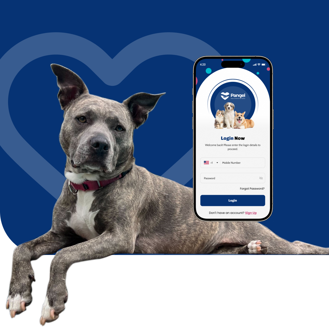 About Us Pangel about-us-pangel