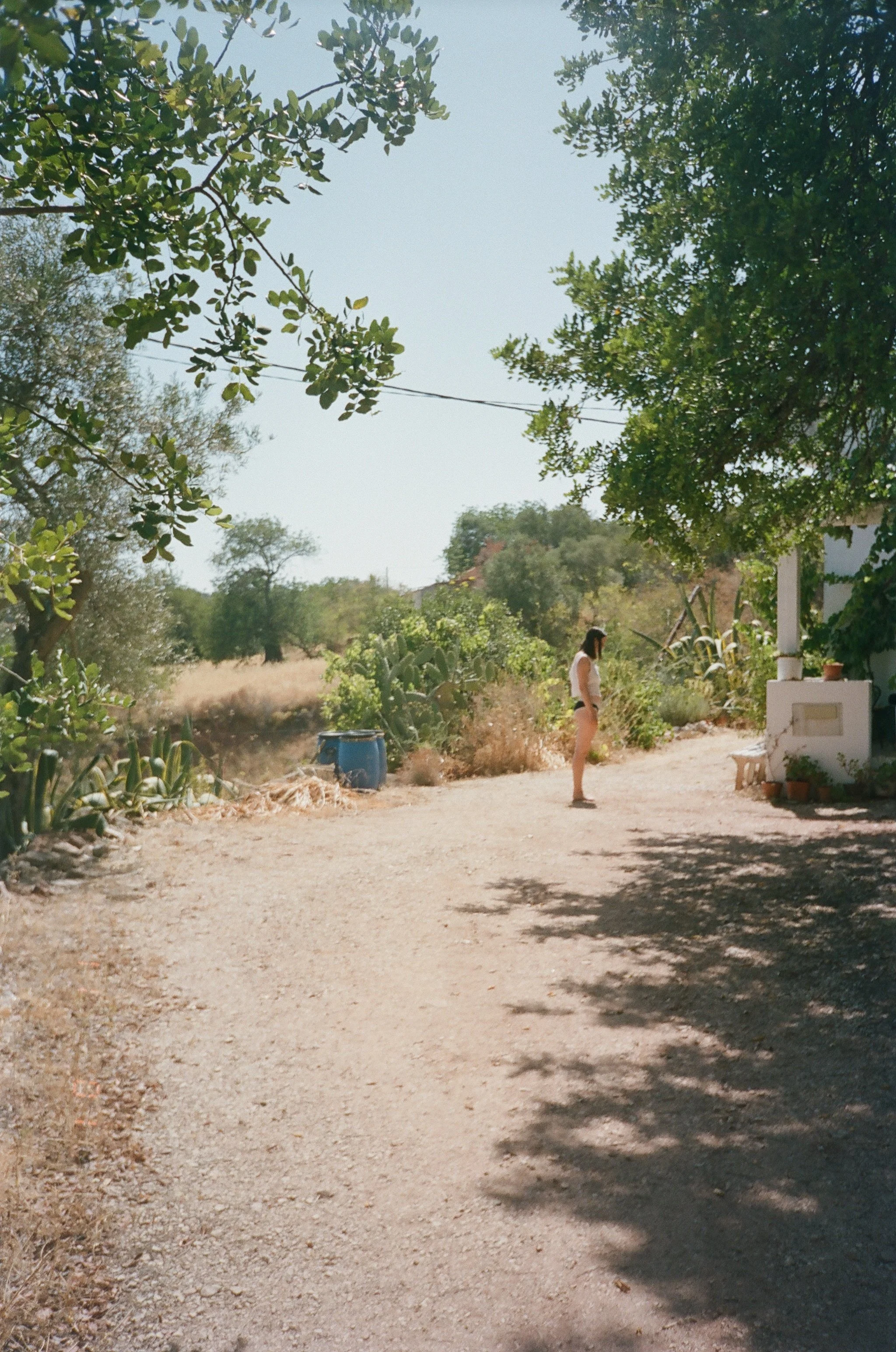 253893_0015.jpg